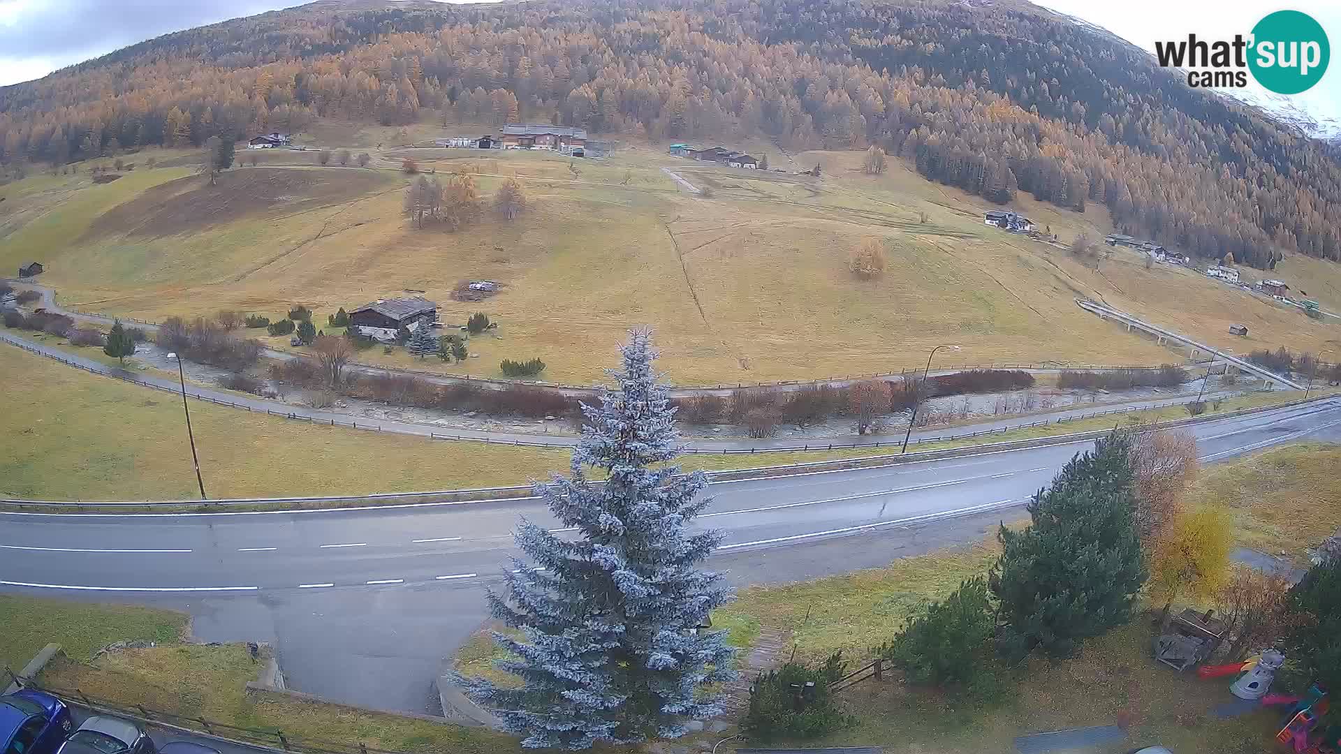 Livigno webcam LIVE Hotel Primula