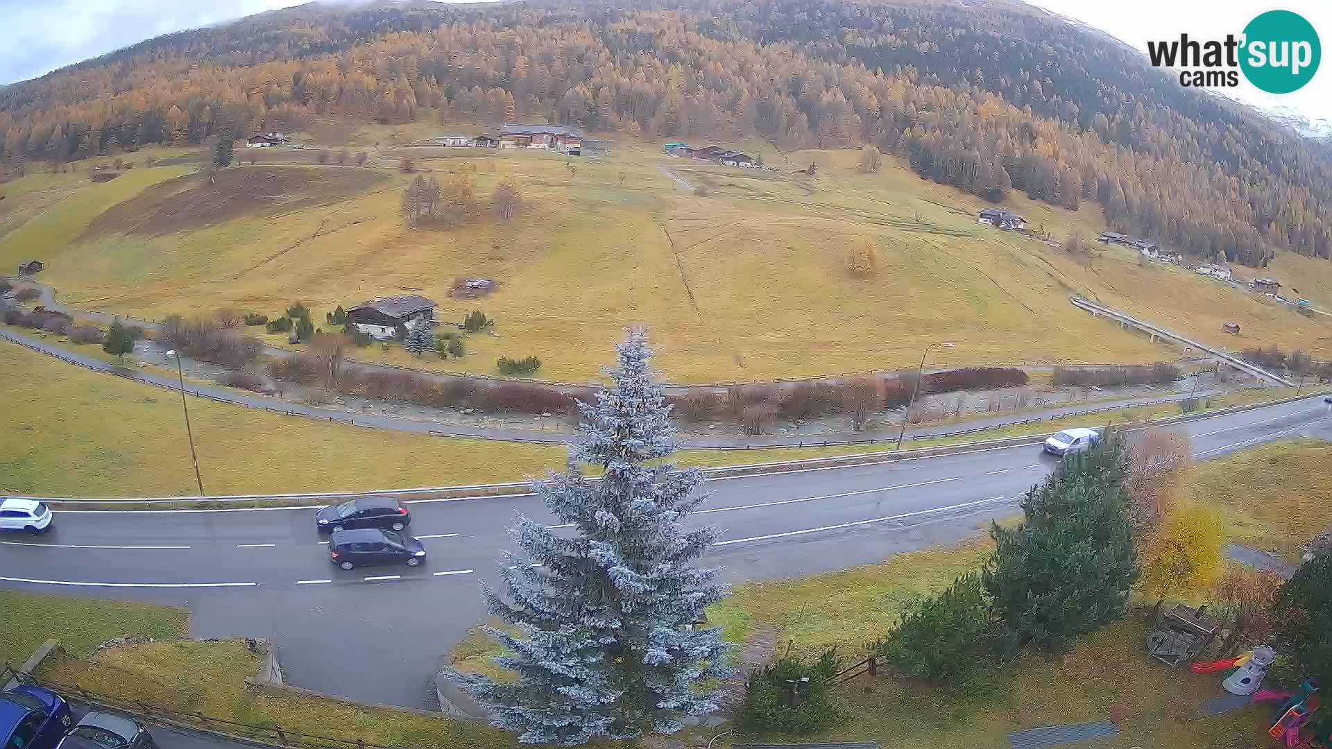 Livigno webcam LIVE Hotel Primula
