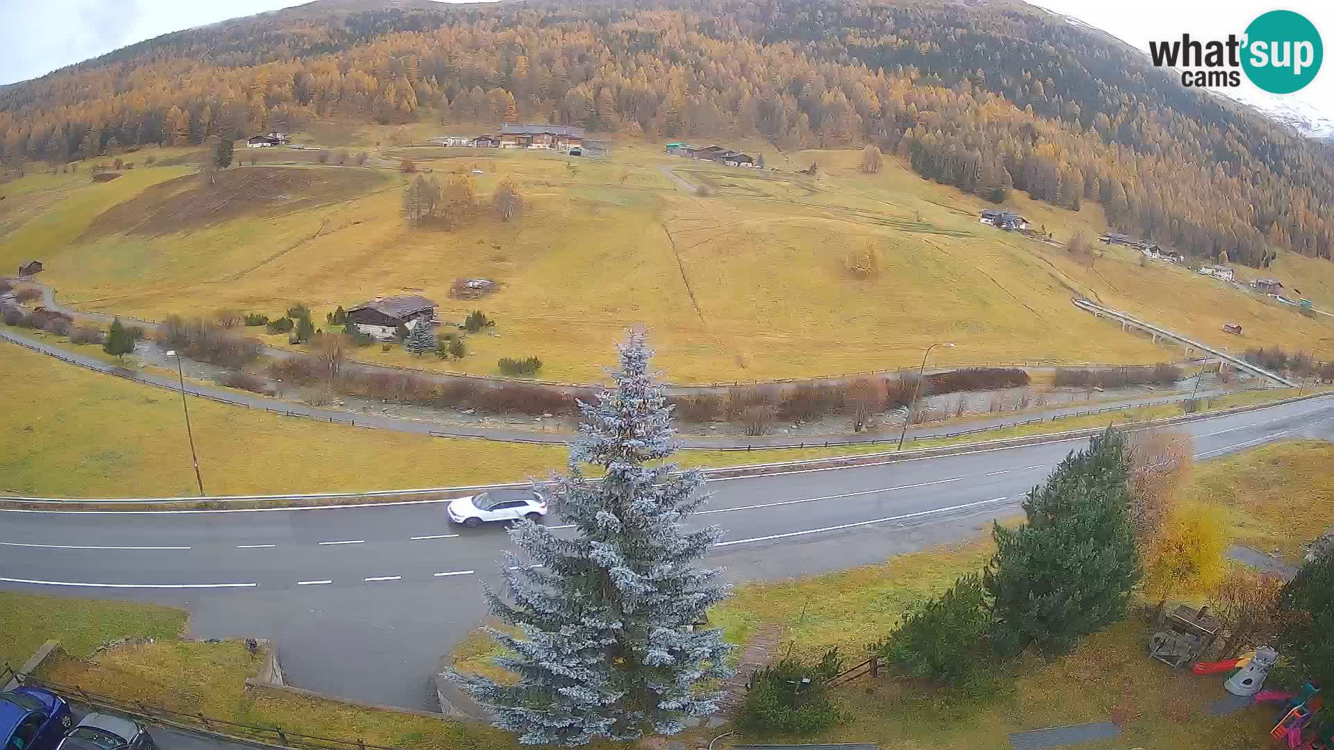 Livigno web kamera Hotel Primula