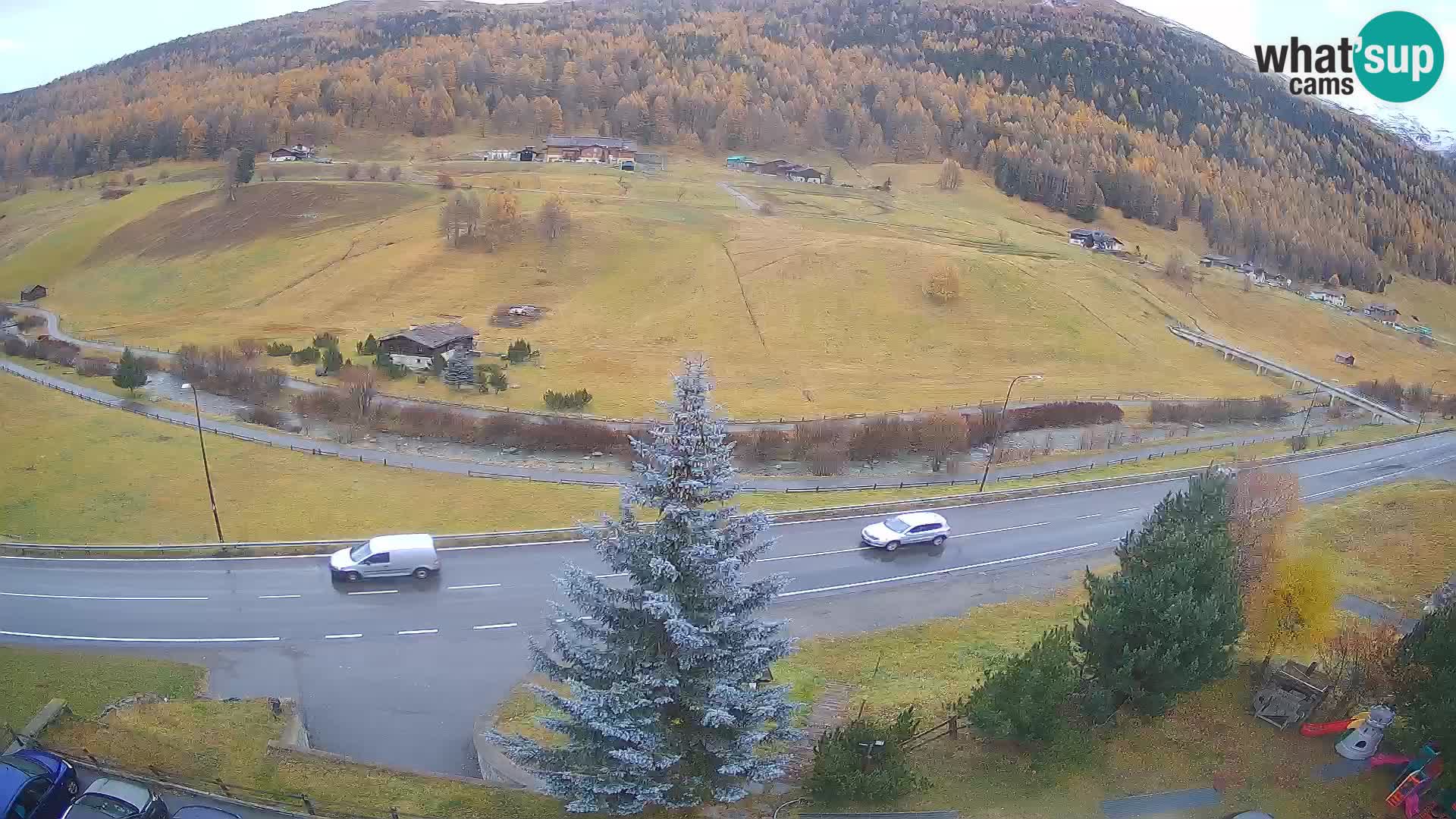 Camera Livigno Hotel Primula | ESQUIAR