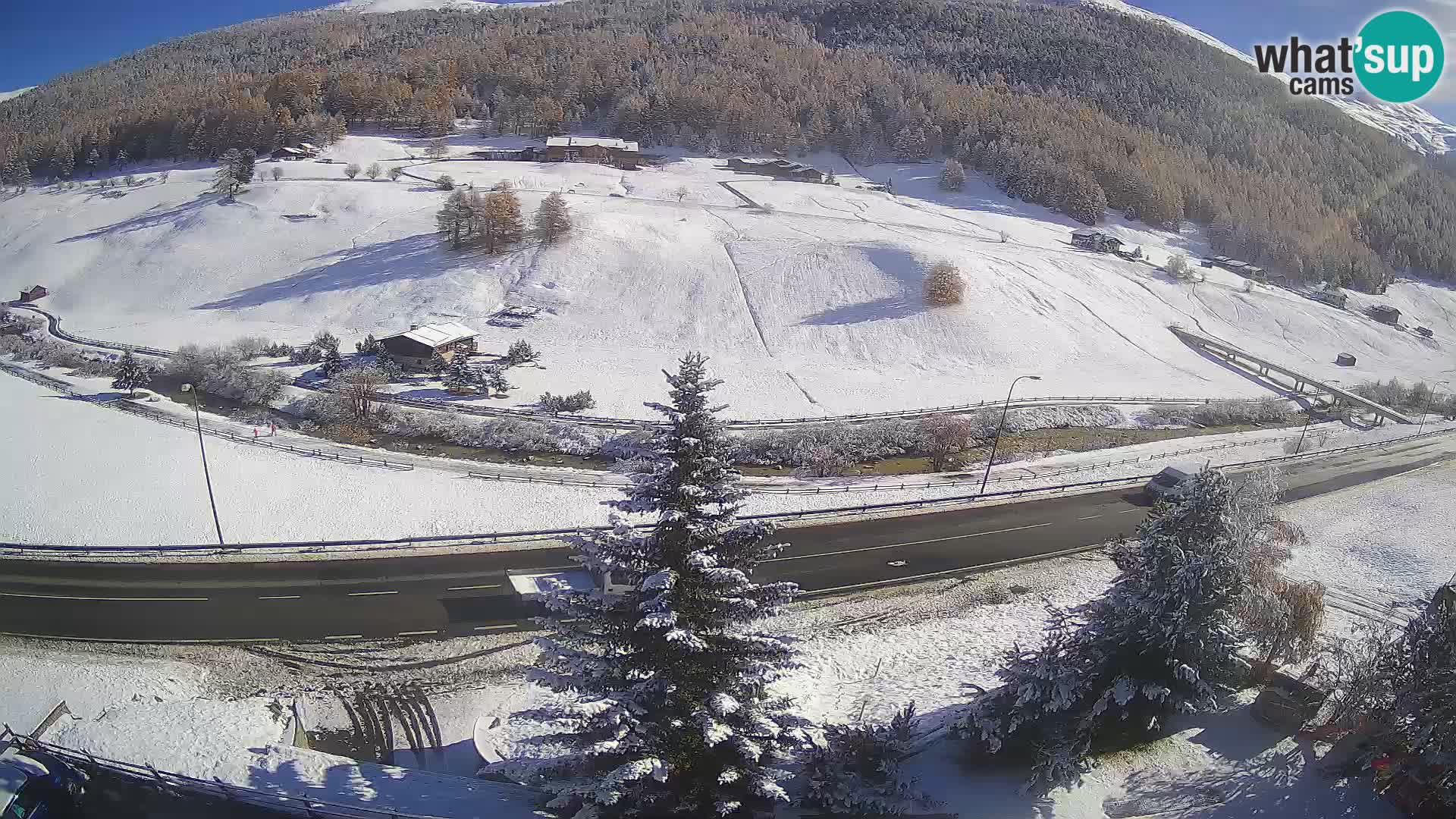 Camera Livigno Hotel Primula | ESQUIAR