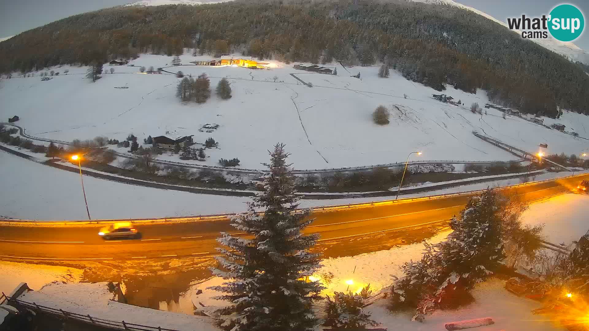 Livigno Cam Hotel Primula | Livigno smučišče