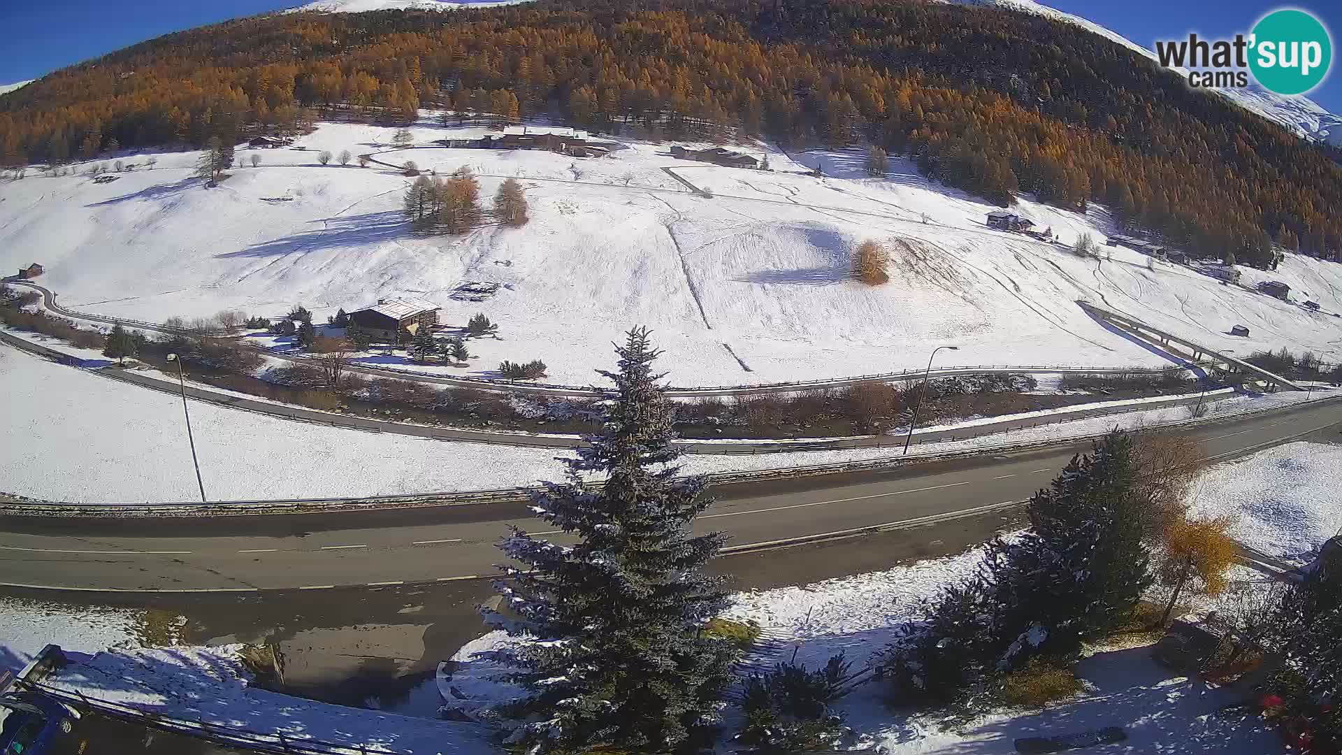 Livigno Cam Hotel Primula | Livigno smučišče