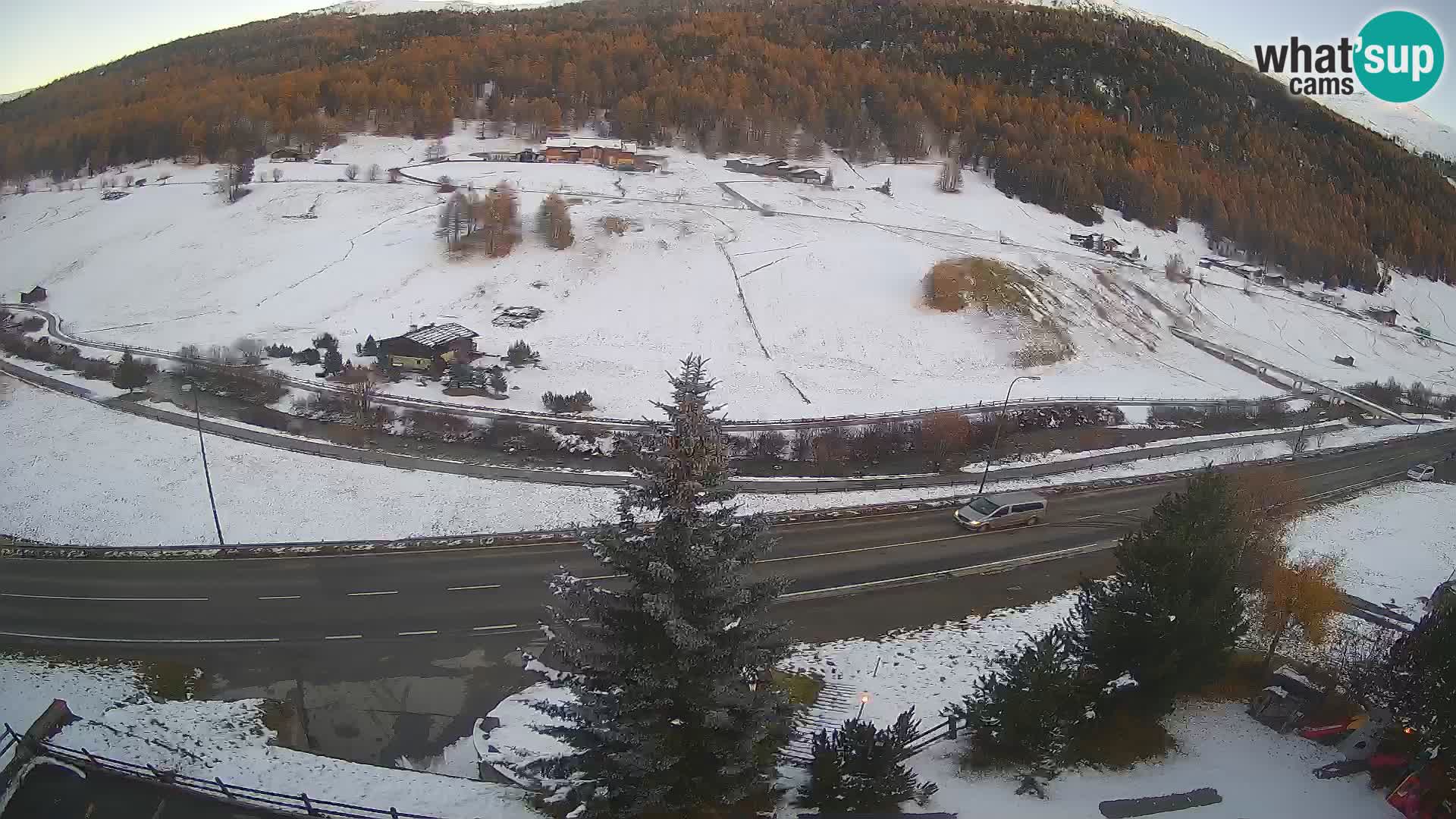 Webcam Livigno Hotel Primula