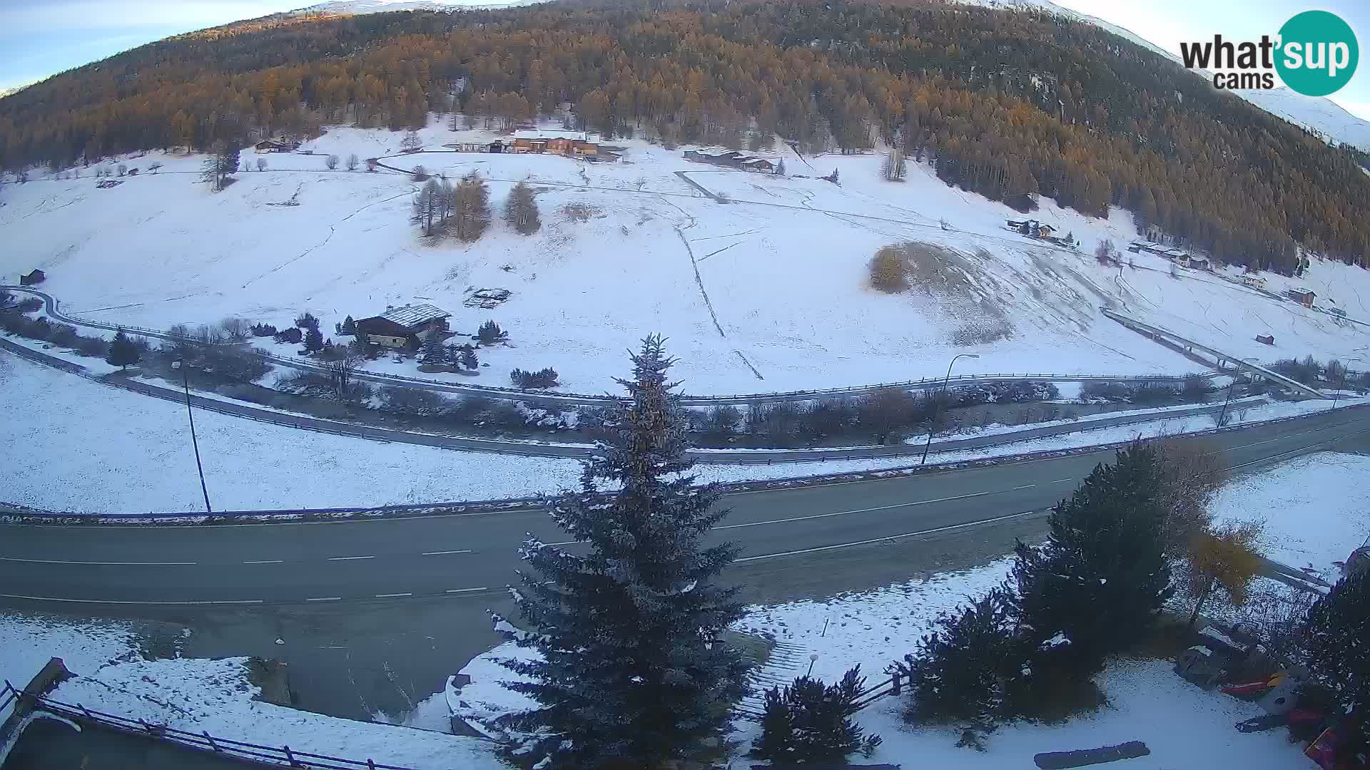 Livigno Cam Hotel Primula | Livigno smučišče