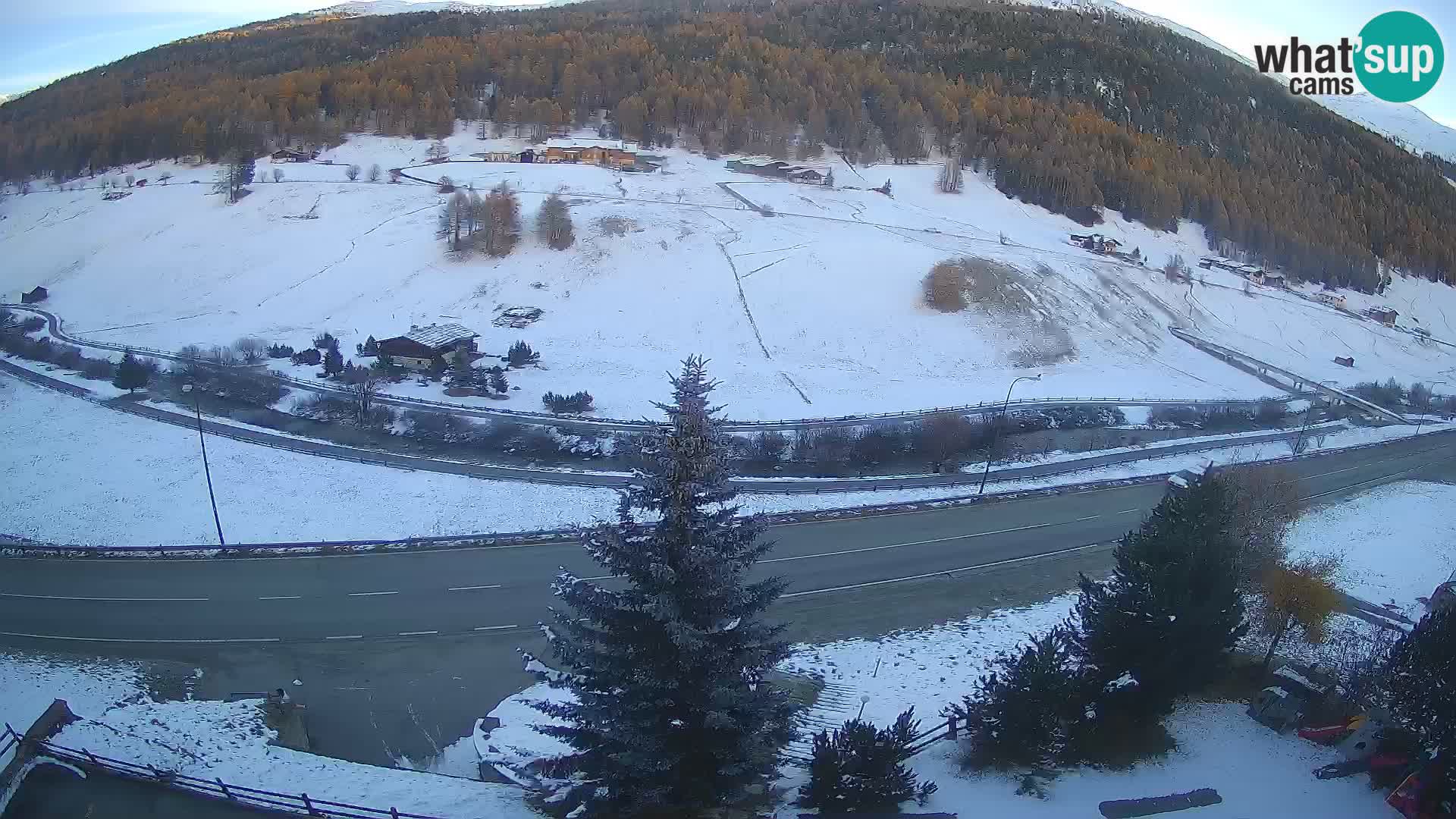 Livigno web kamera Hotel Primula