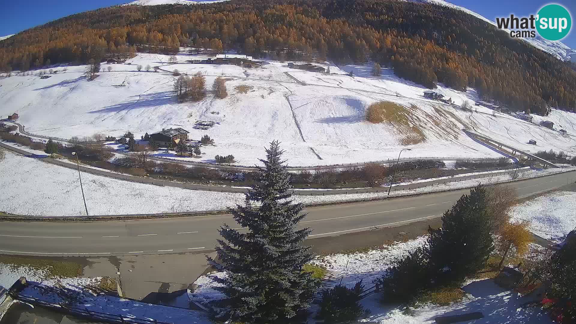 Livigno web kamera Hotel Primula