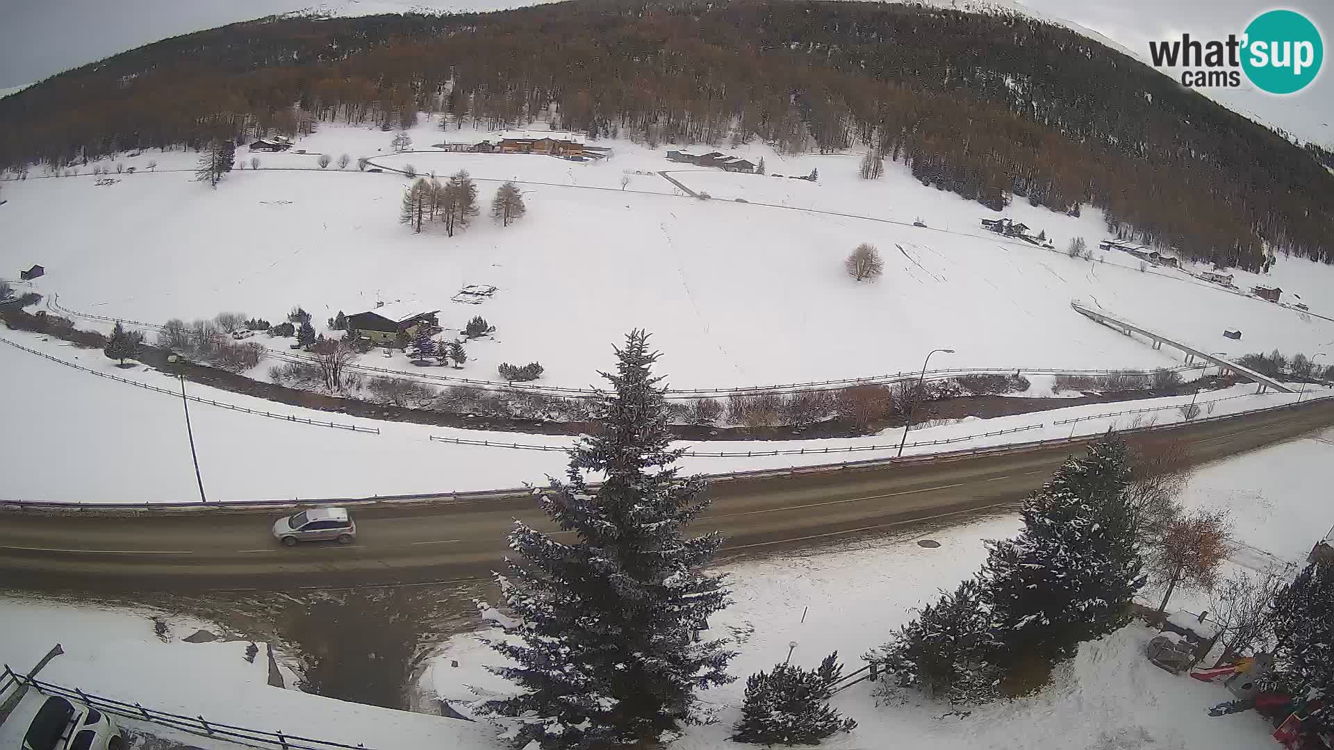 Web Cam Livigno | Hotel Primula