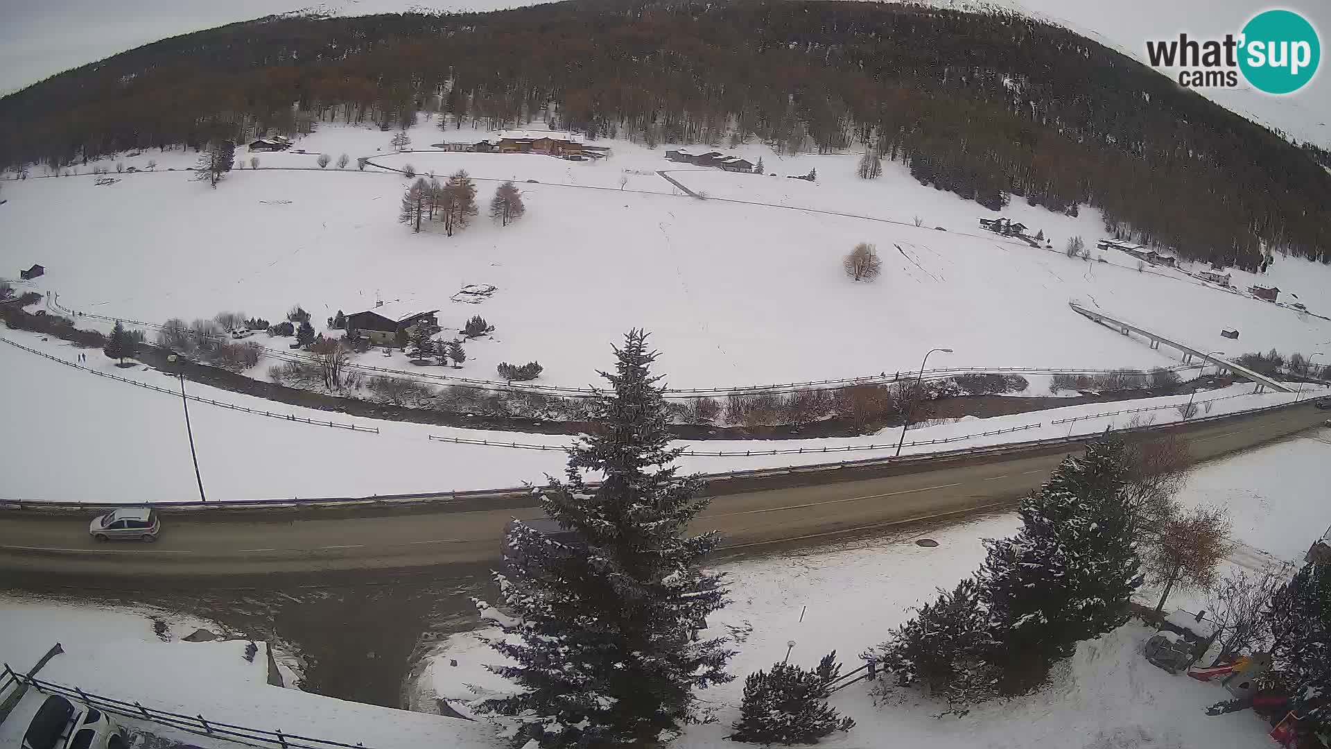 Web Cam Livigno | Hotel Primula