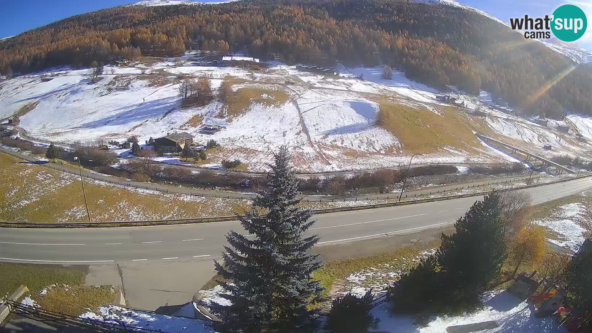 Webcam Livigno Hotel Primula