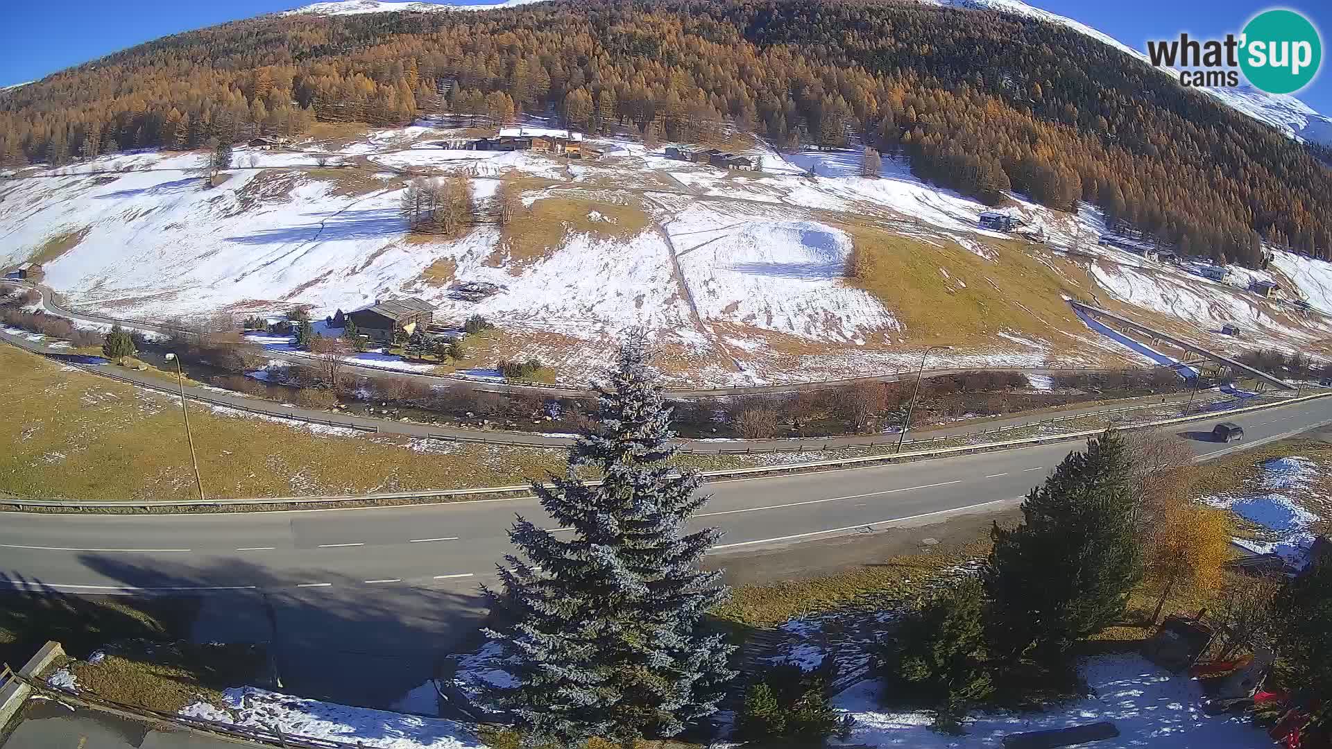 Livigno Cam Hotel Primula | Livigno smučišče