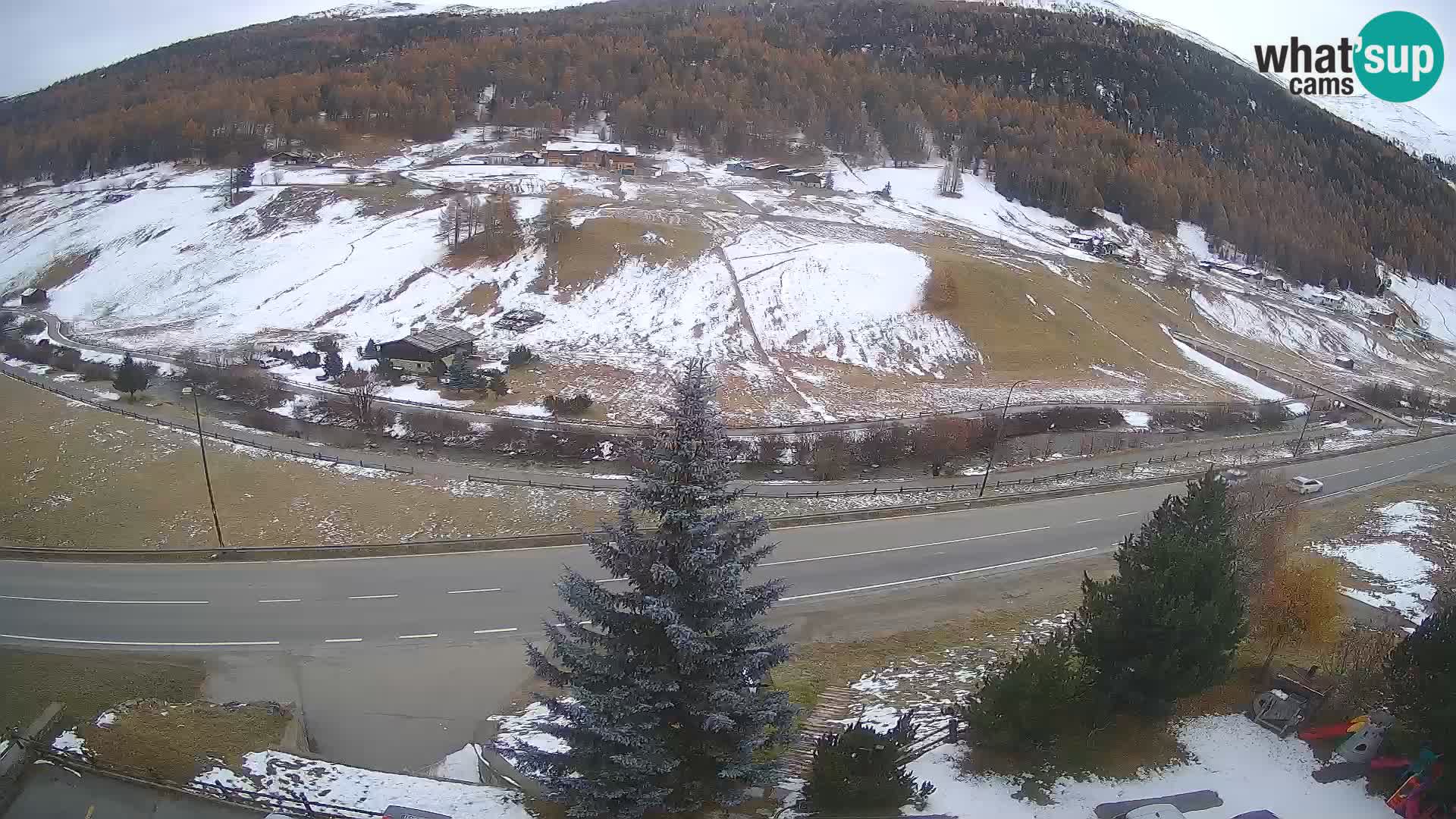 Web Cam Livigno | Hotel Primula