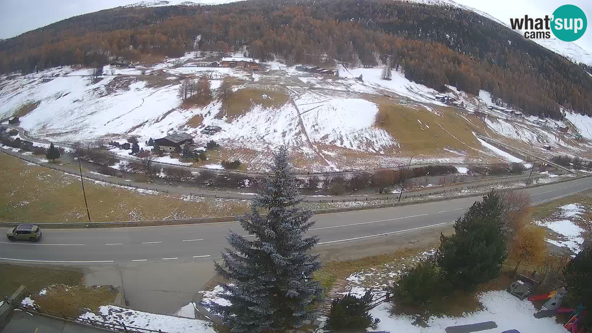 Livigno webcam LIVE Hotel Primula