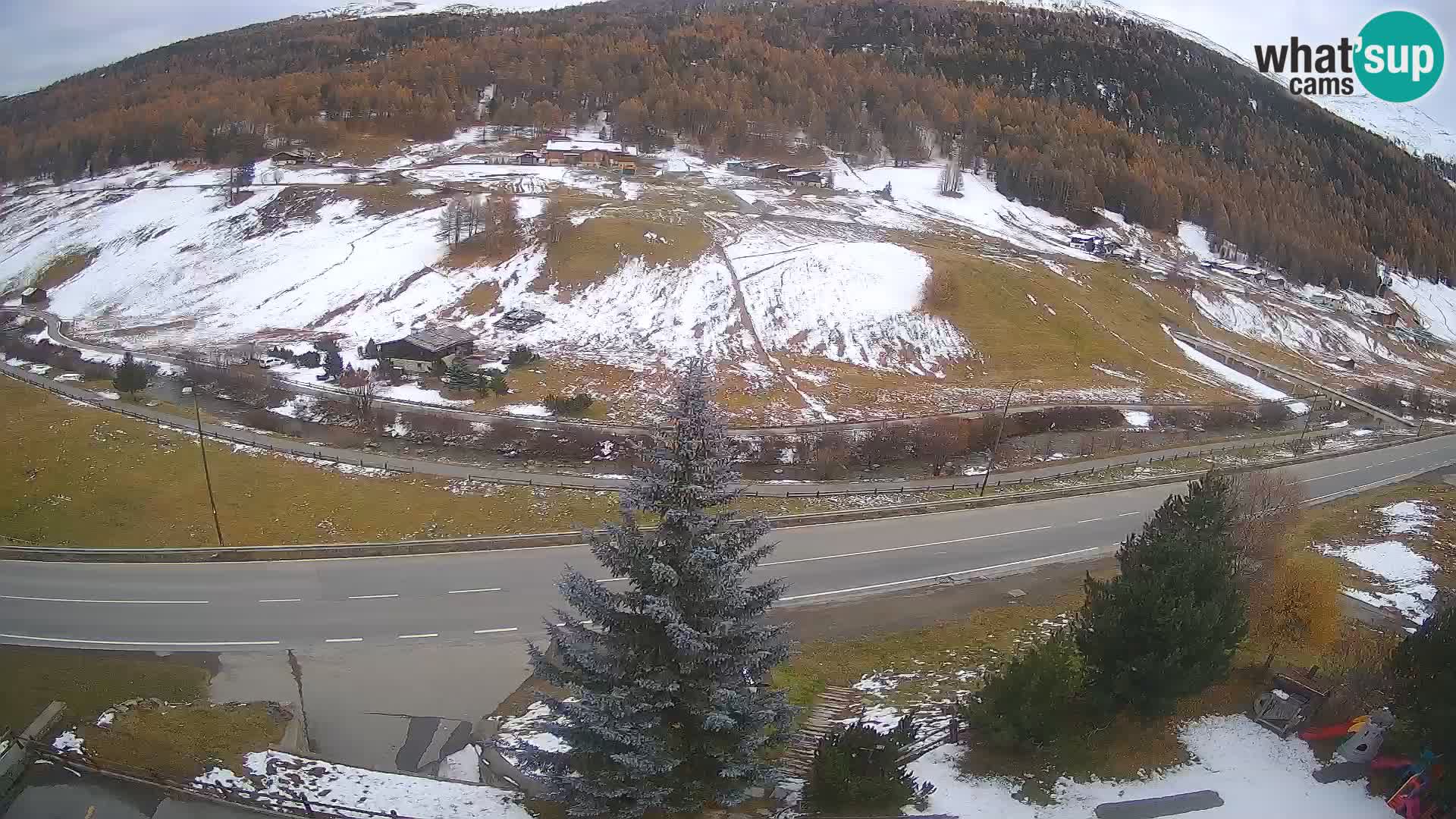 Livigno Cam Hotel Primula | Livigno smučišče
