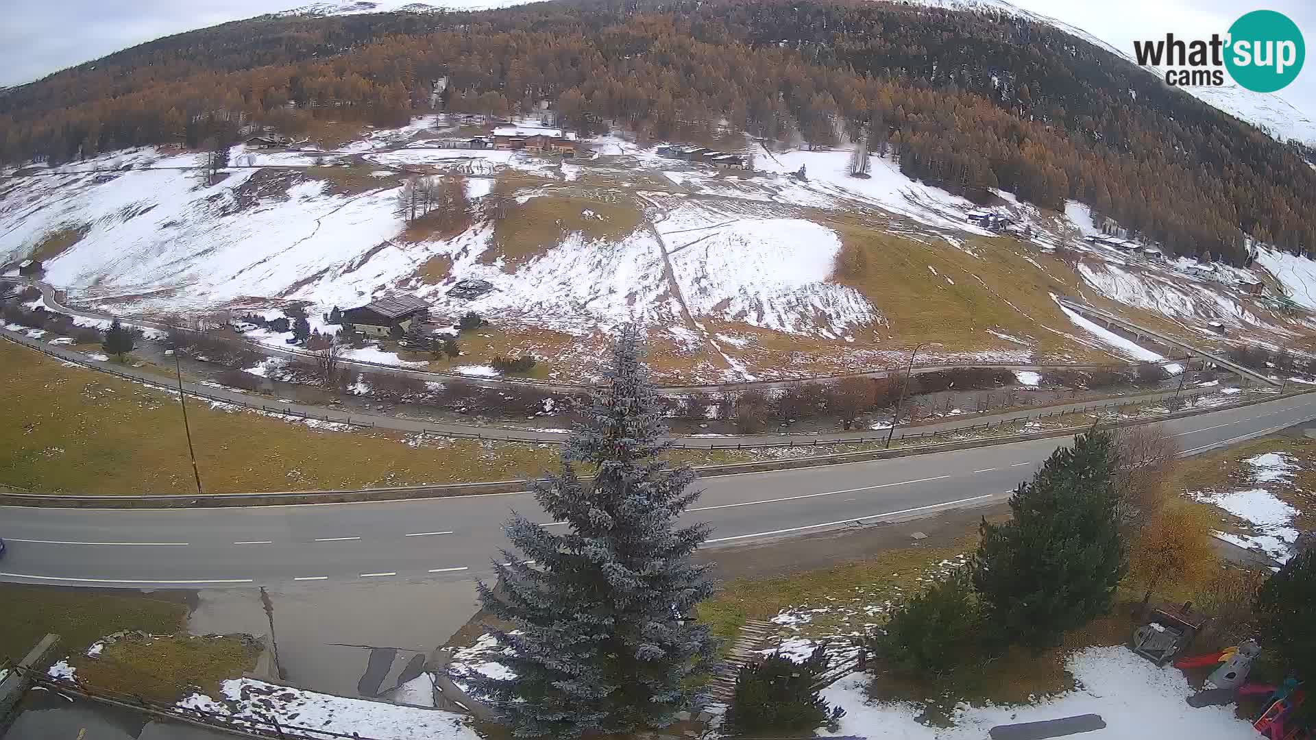 Livigno Cam Hotel Primula | Livigno smučišče