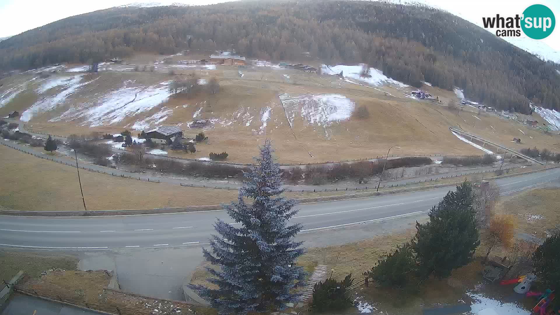 Web Cam Livigno | Hotel Primula