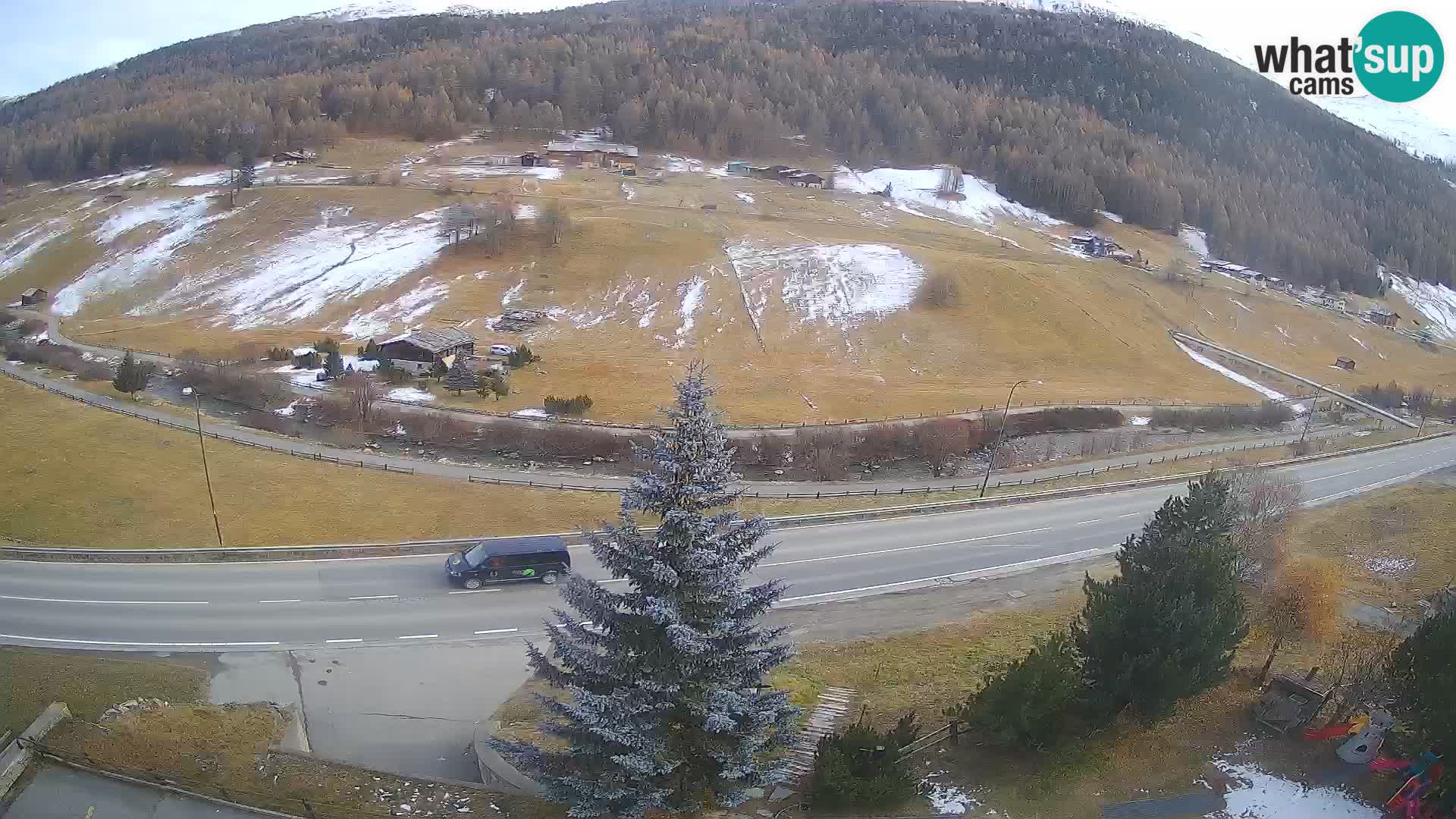 Livigno web kamera Hotel Primula