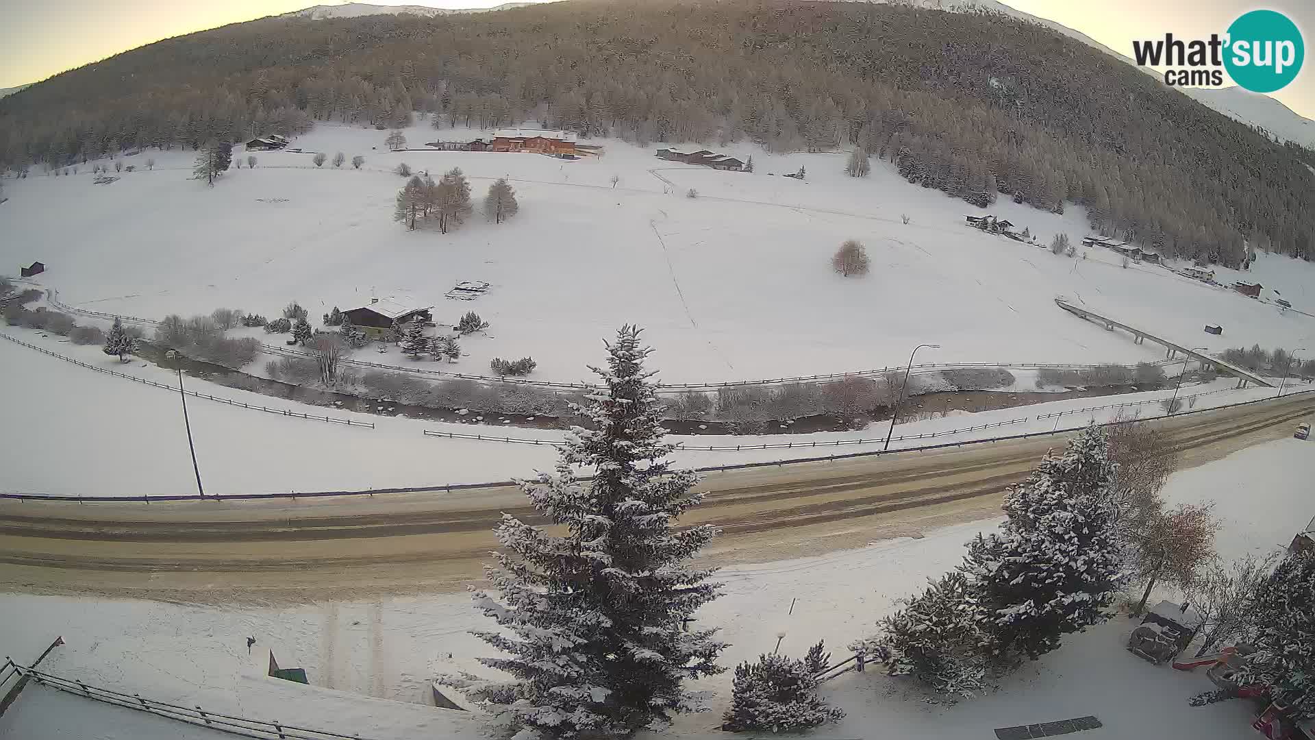 Webcam Livigno Hotel Primula