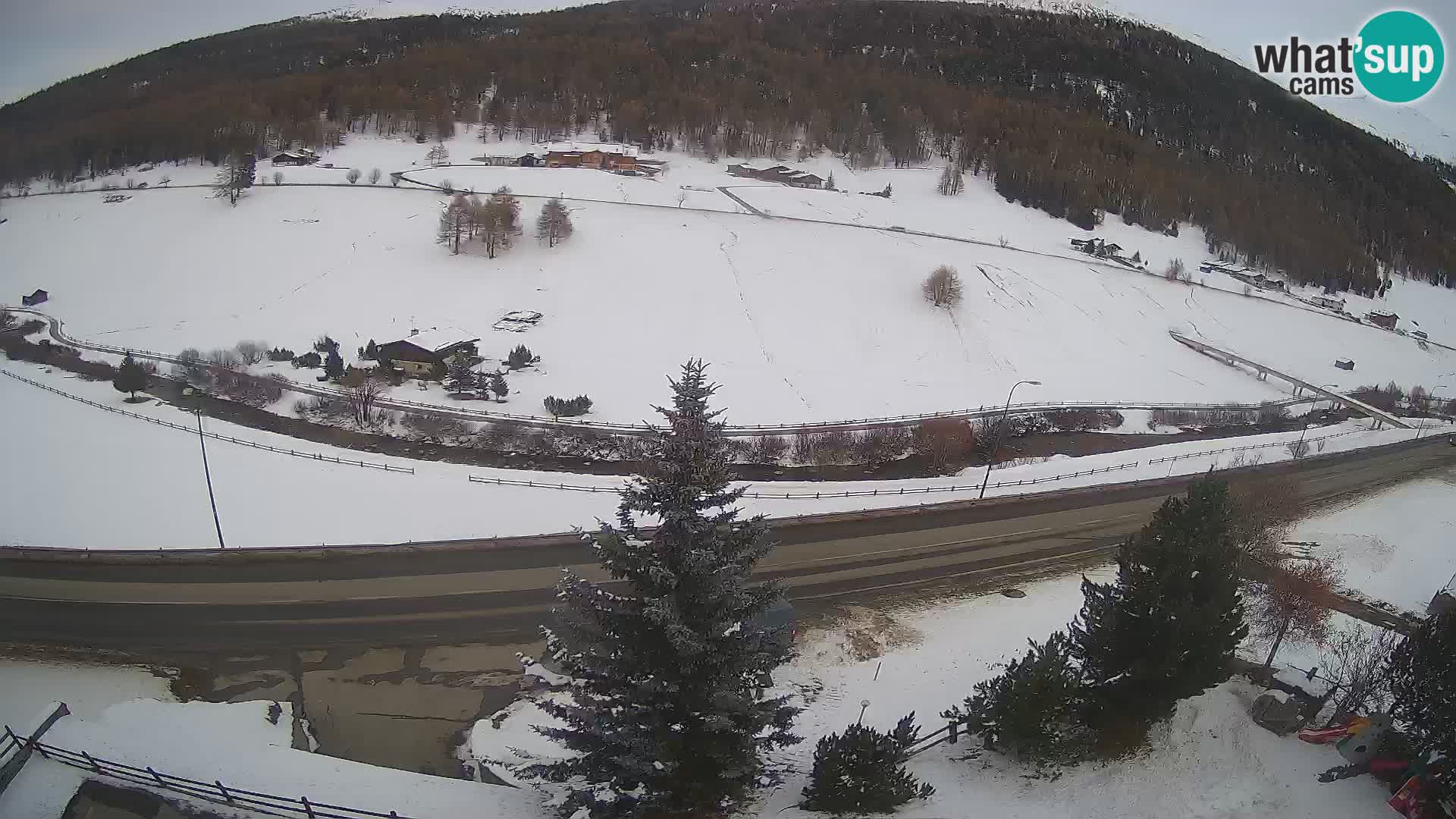 Webcam Livigno Hotel Primula