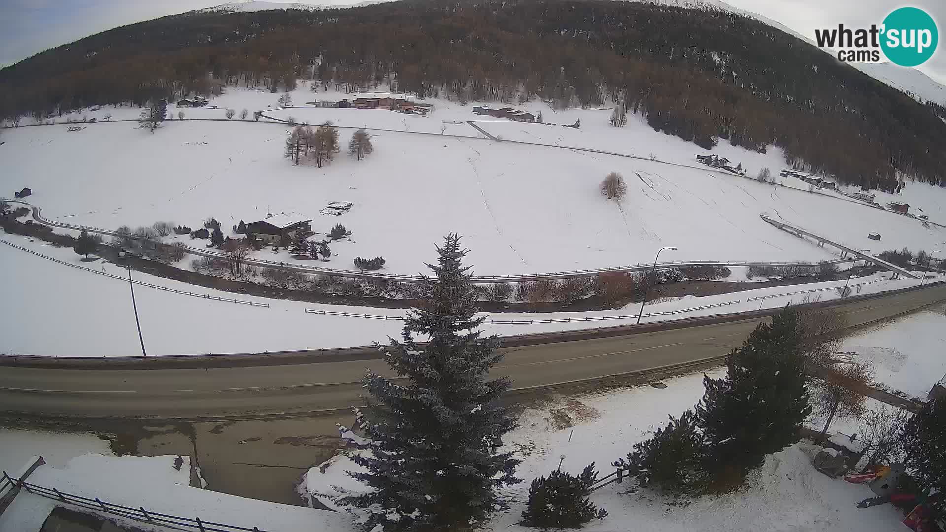 Livigno Hotel Primula webcam