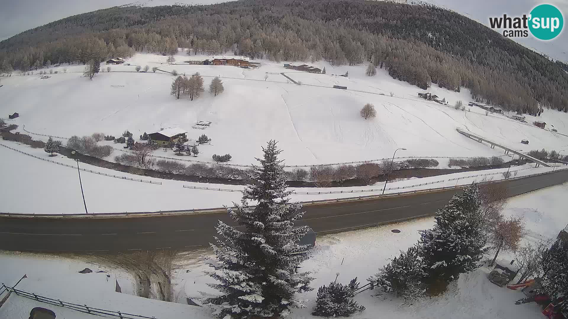 Livigno webcam LIVE Hotel Primula