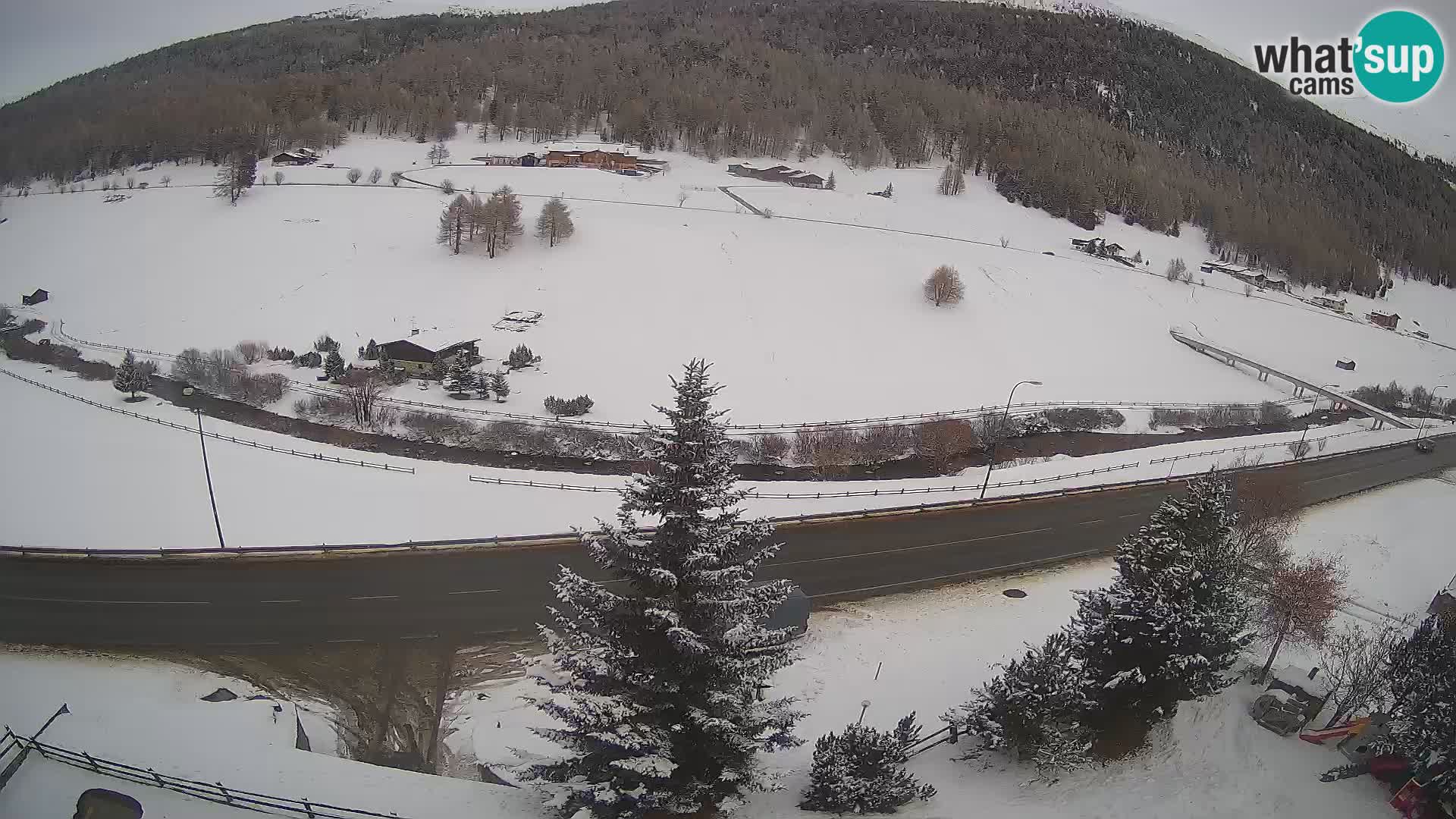 Livigno Hotel Primula webcam
