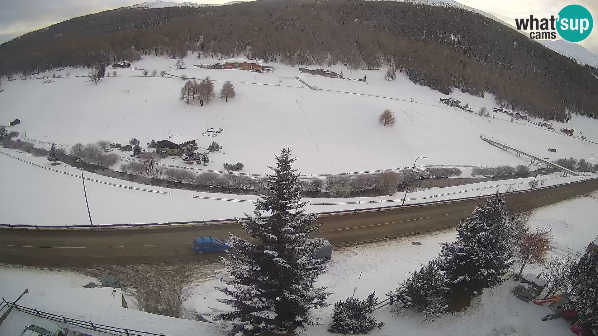 Webcam Livigno Hotel Primula