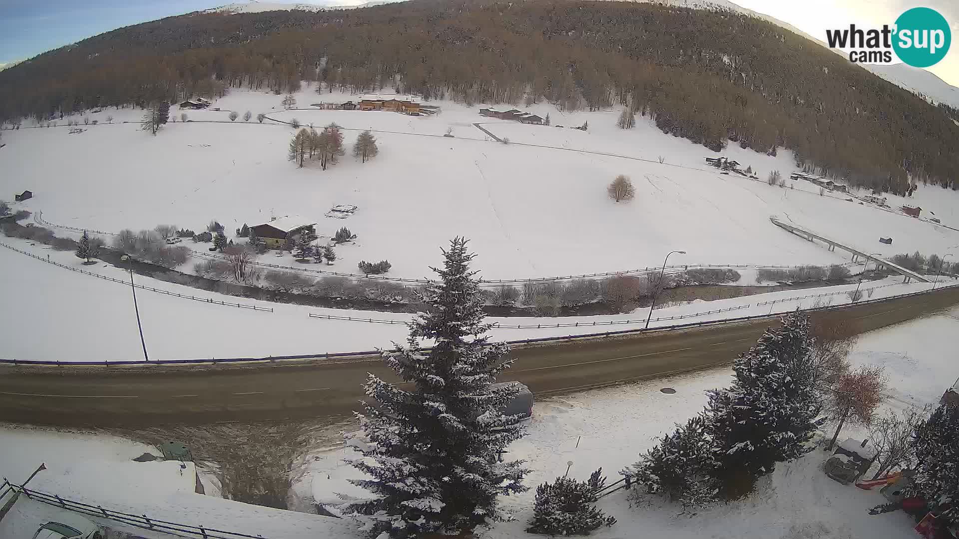 Webcam Livigno Hotel Primula
