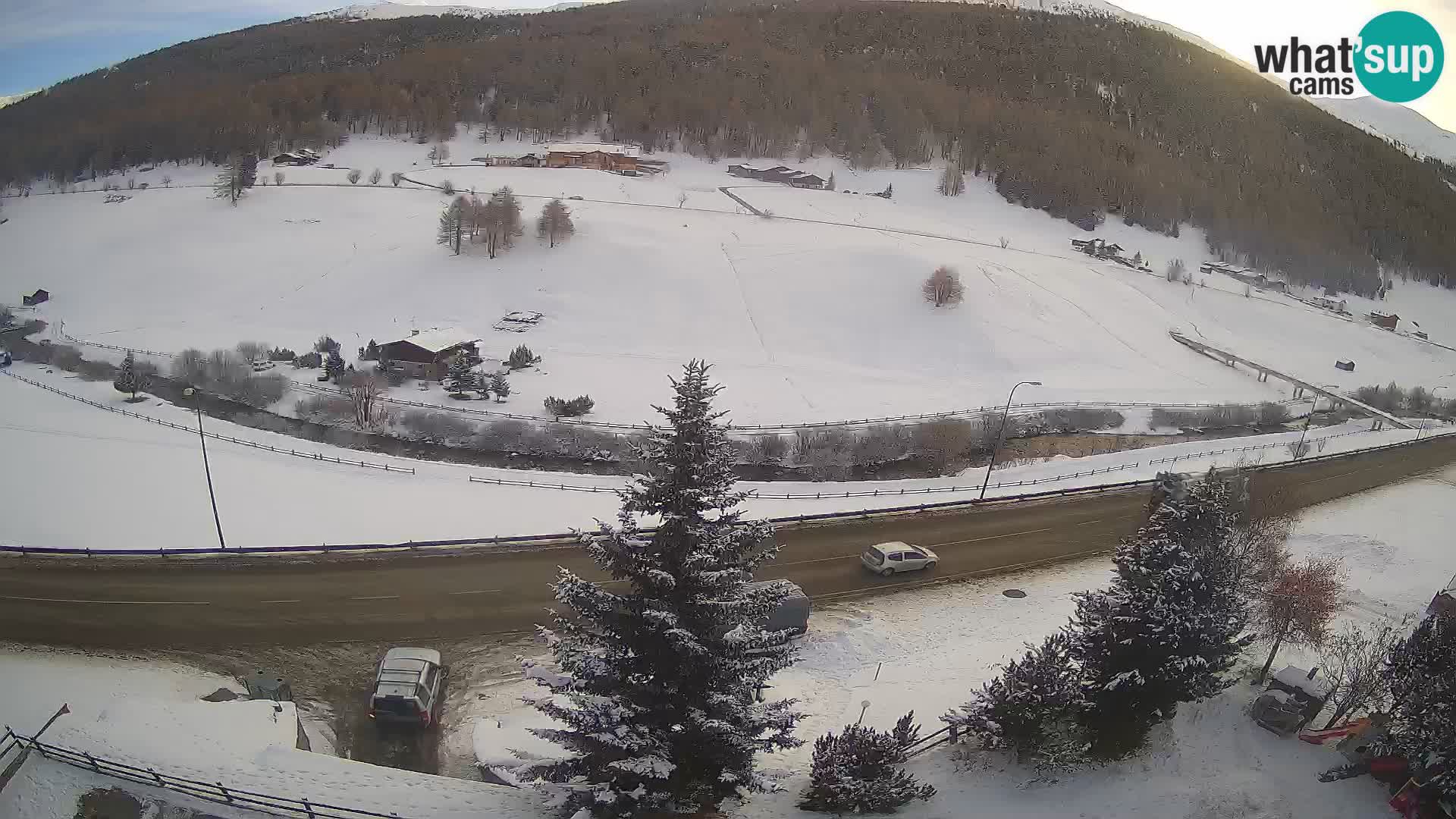 Webcam Livigno Hotel Primula