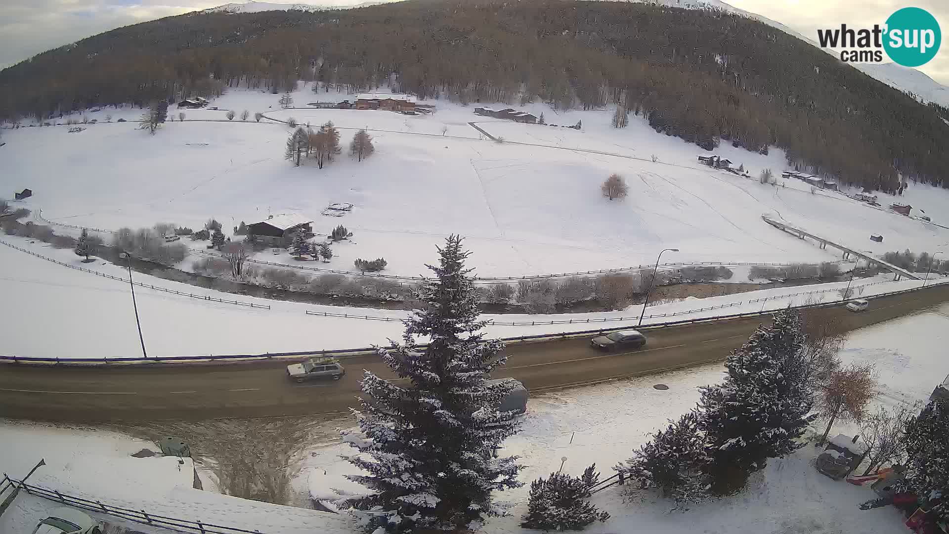 Livigno webcam LIVE Hotel Primula