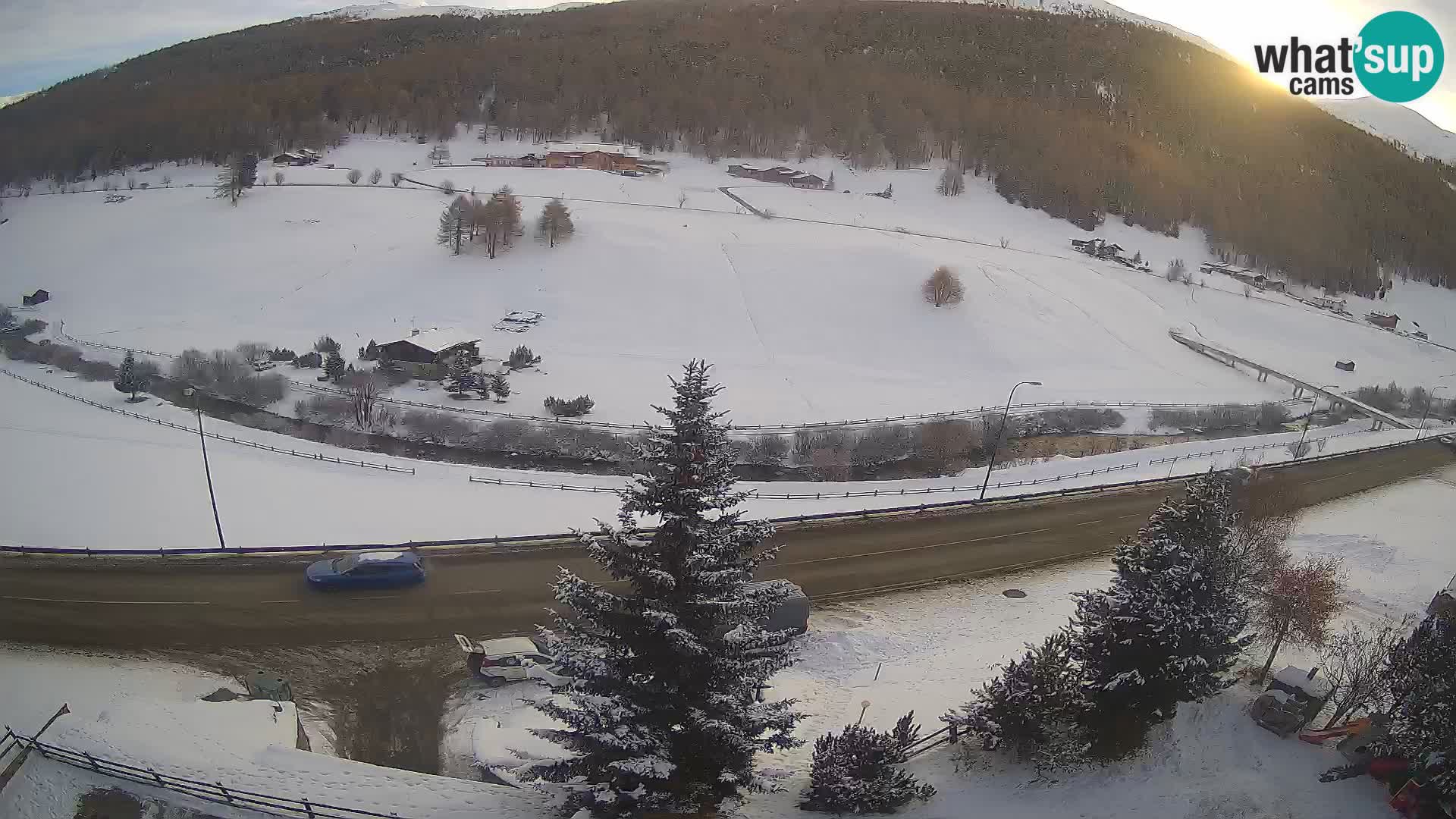 Livigno web kamera Hotel Primula