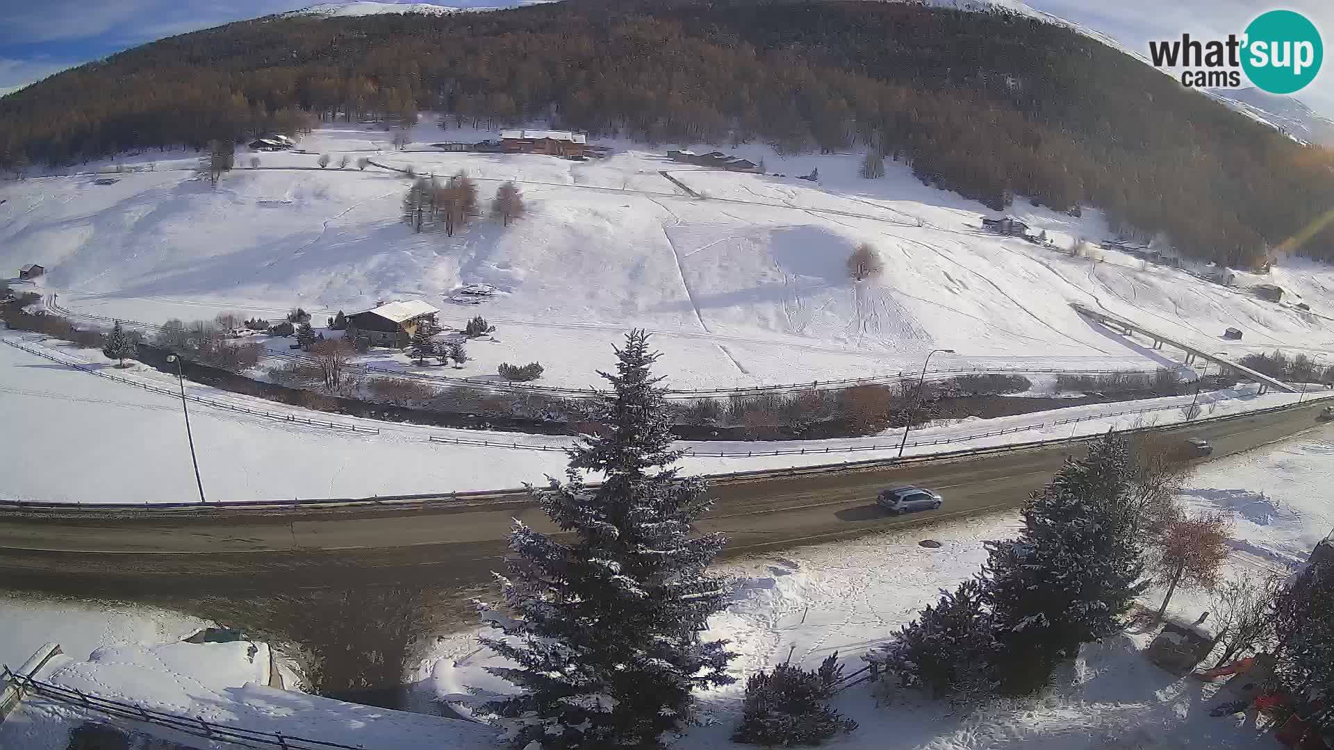 Livigno Cam Hotel Primula | Livigno smučišče