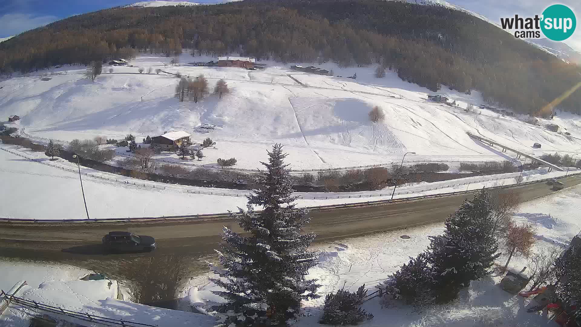 Livigno web kamera Hotel Primula