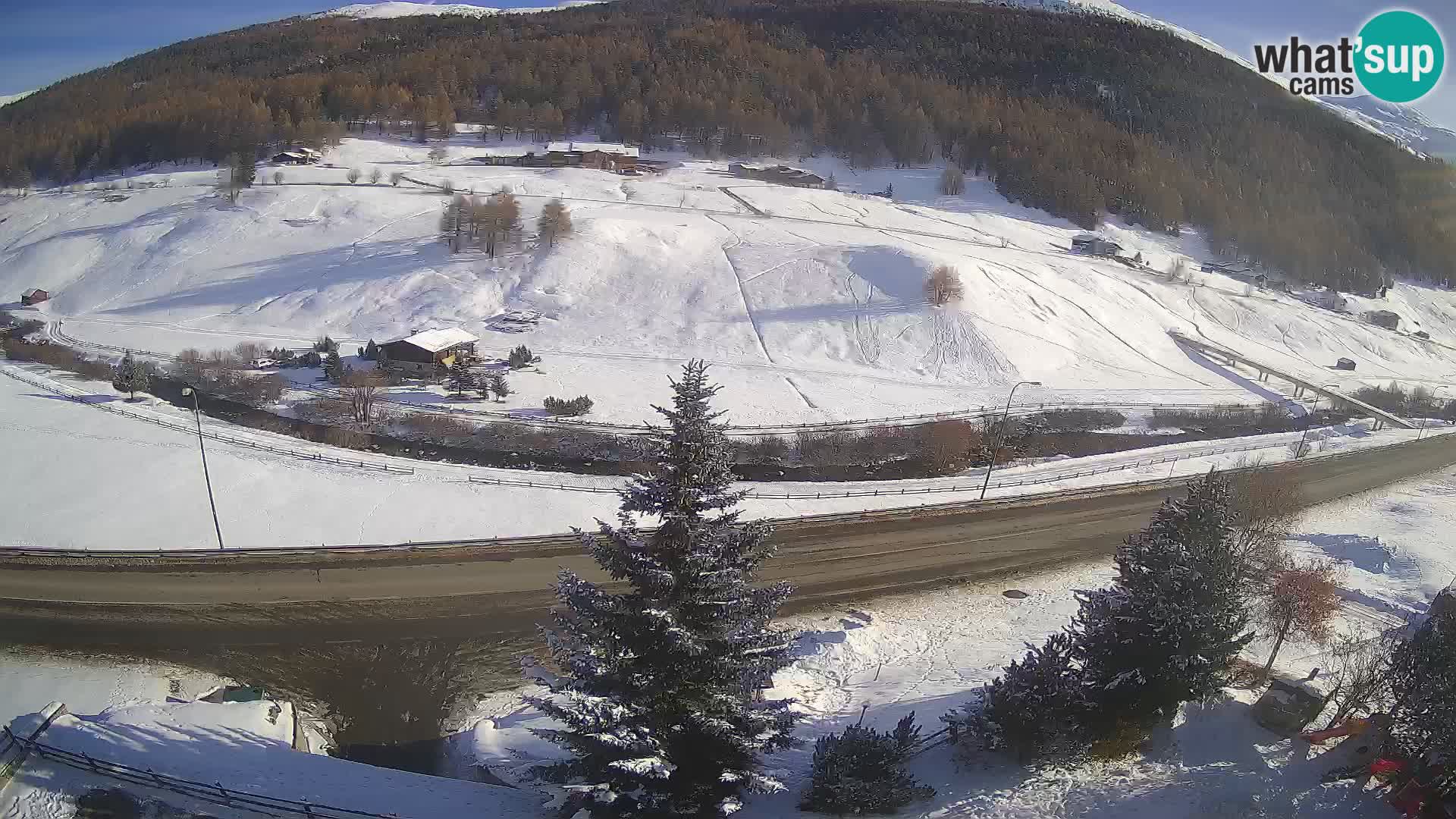 Webcam Livigno Hotel Primula