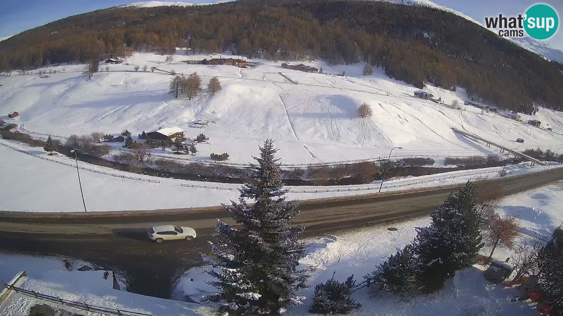 Livigno Cam Hotel Primula | Livigno smučišče