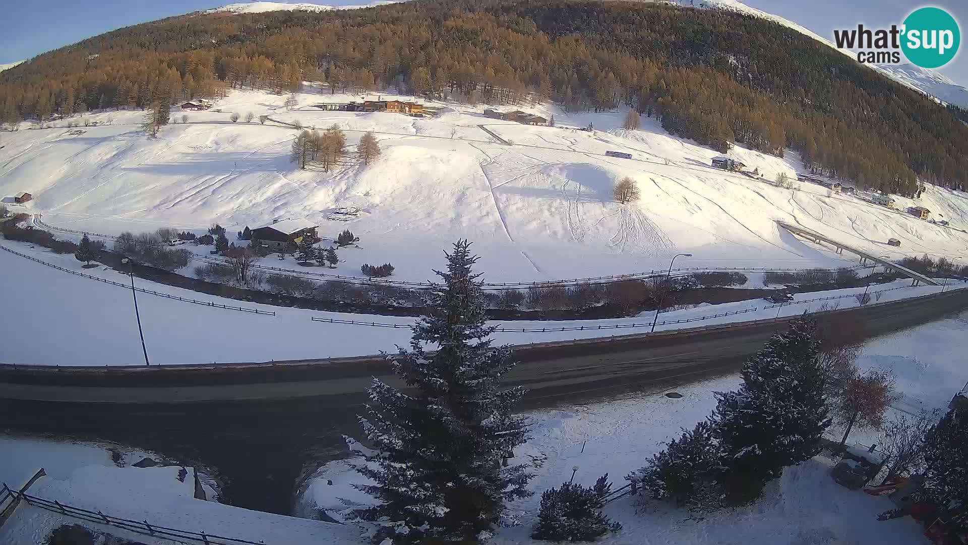 Livigno webcam LIVE Hotel Primula