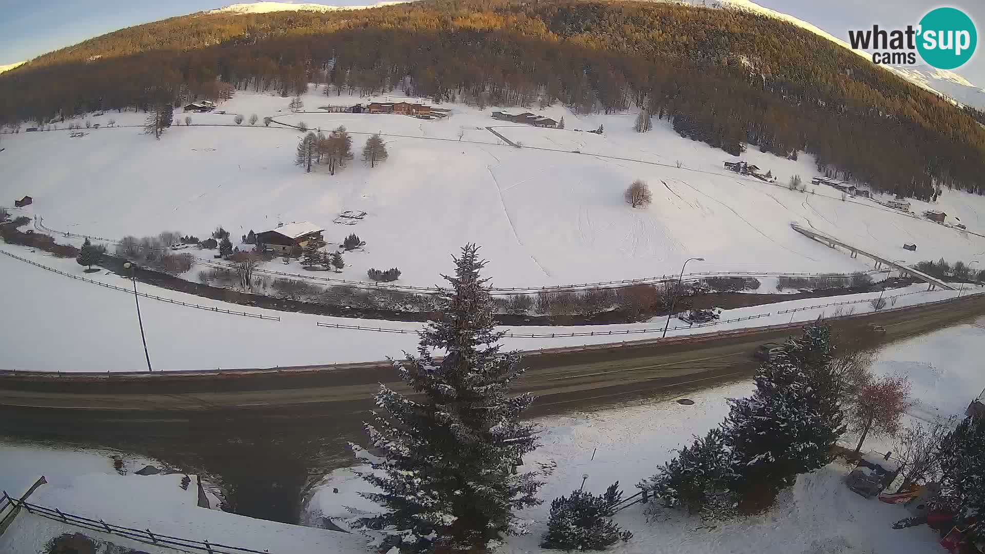 Livigno webcam LIVE Hotel Primula
