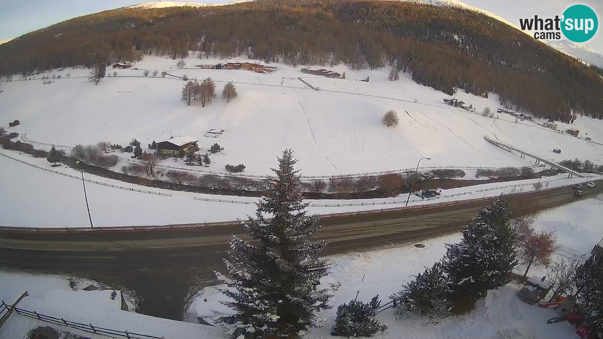 Livigno webcam LIVE Hotel Primula