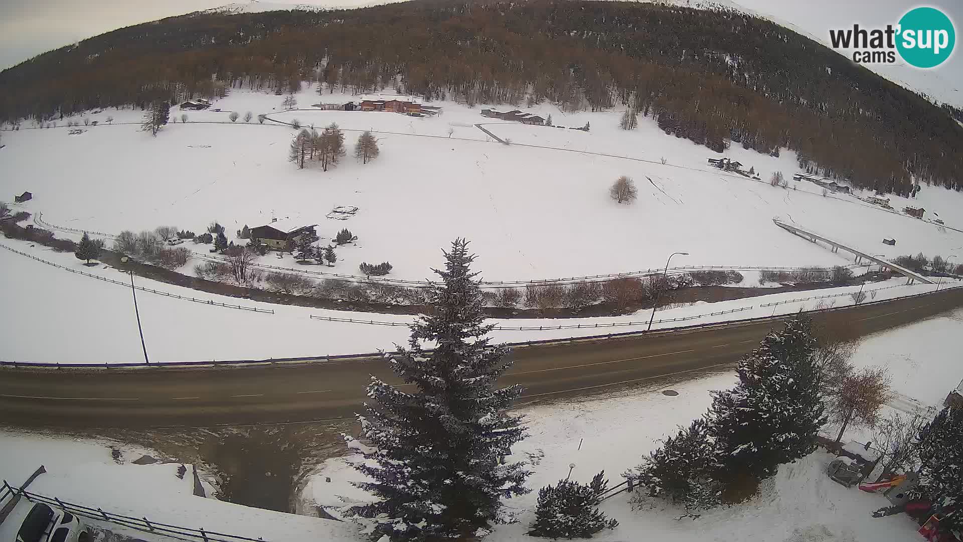 Livigno webcam LIVE Hotel Primula