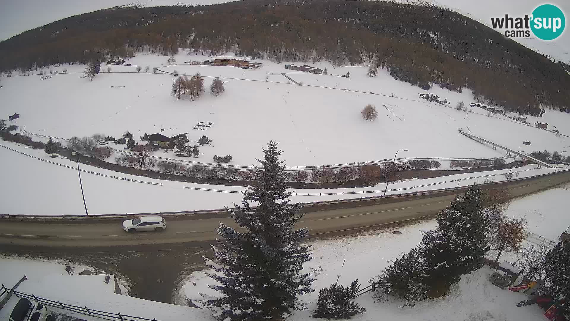 Webcam Livigno Hotel Primula