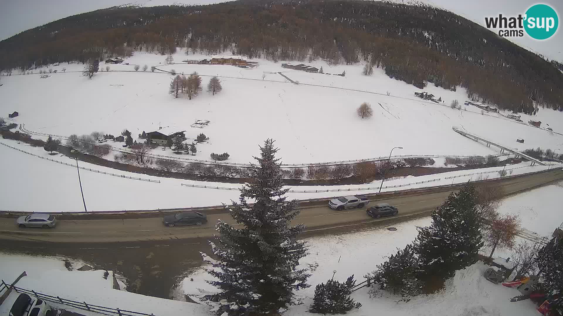 Livigno webcam LIVE Hotel Primula