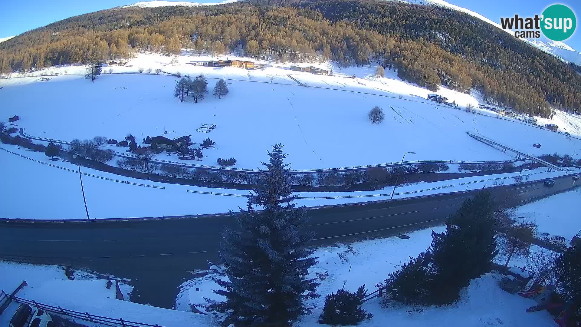 Livigno Cam Hotel Primula | Livigno smučišče