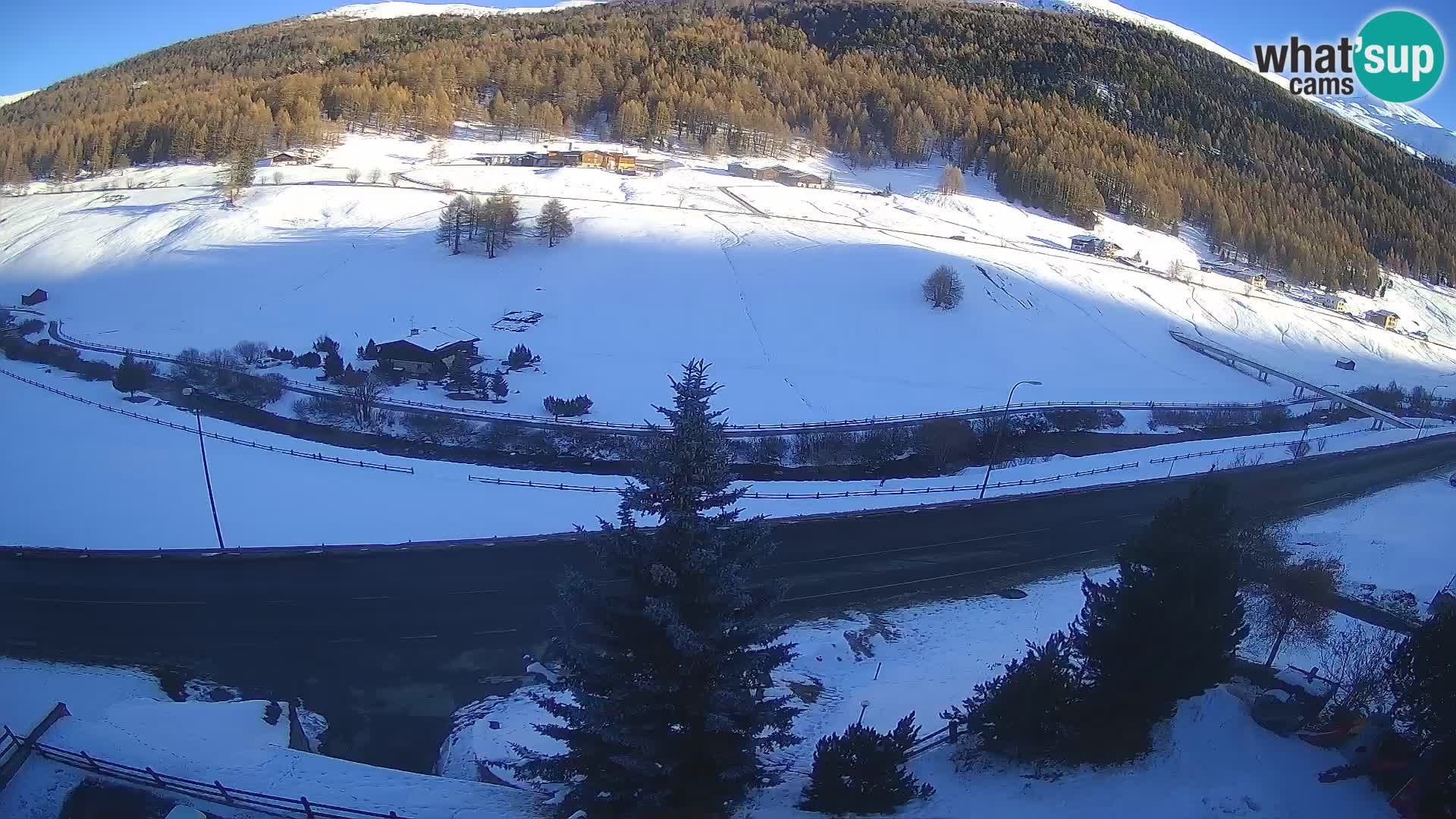 Livigno Cam Hotel Primula | Livigno smučišče