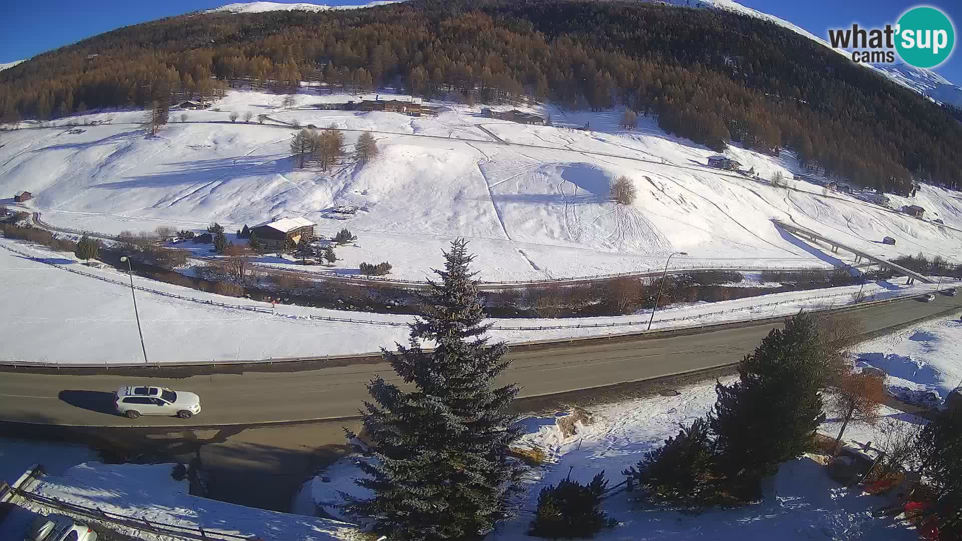 Livigno Cam Hotel Primula | Livigno smučišče