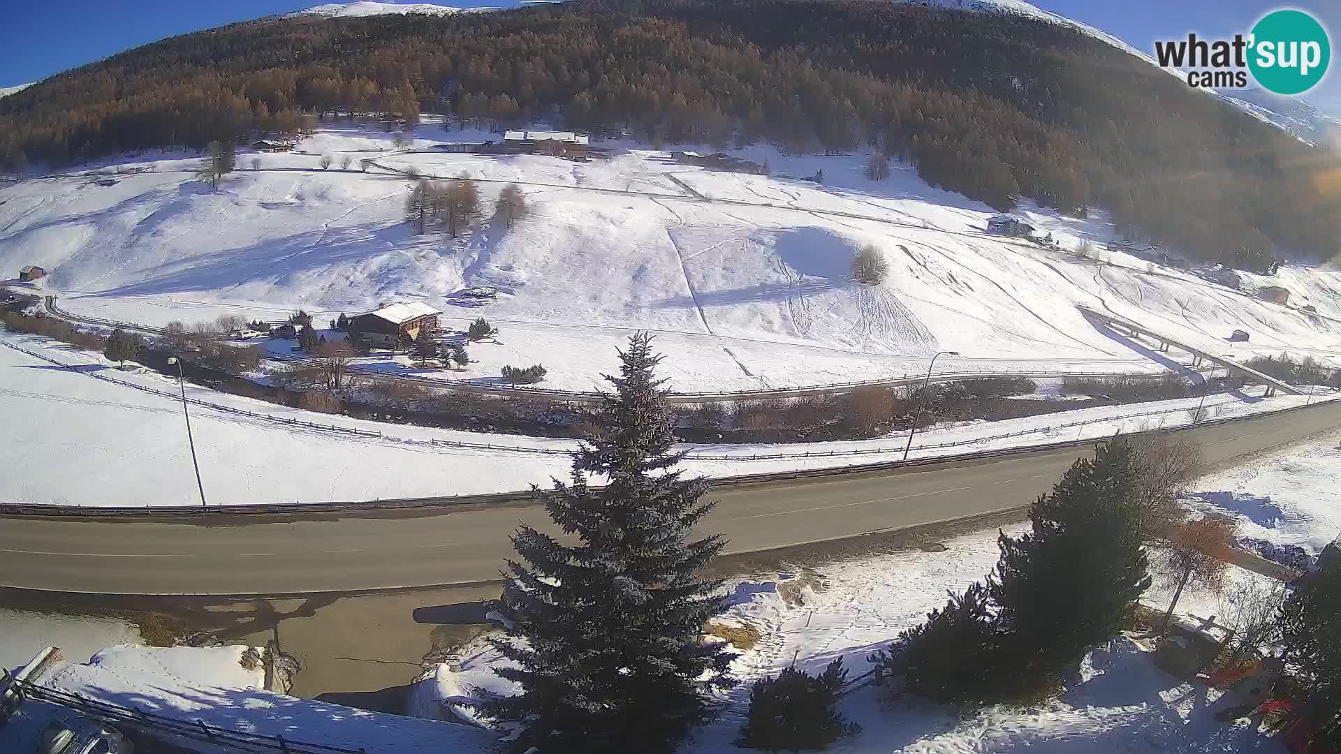 Livigno Cam Hotel Primula | Livigno smučišče