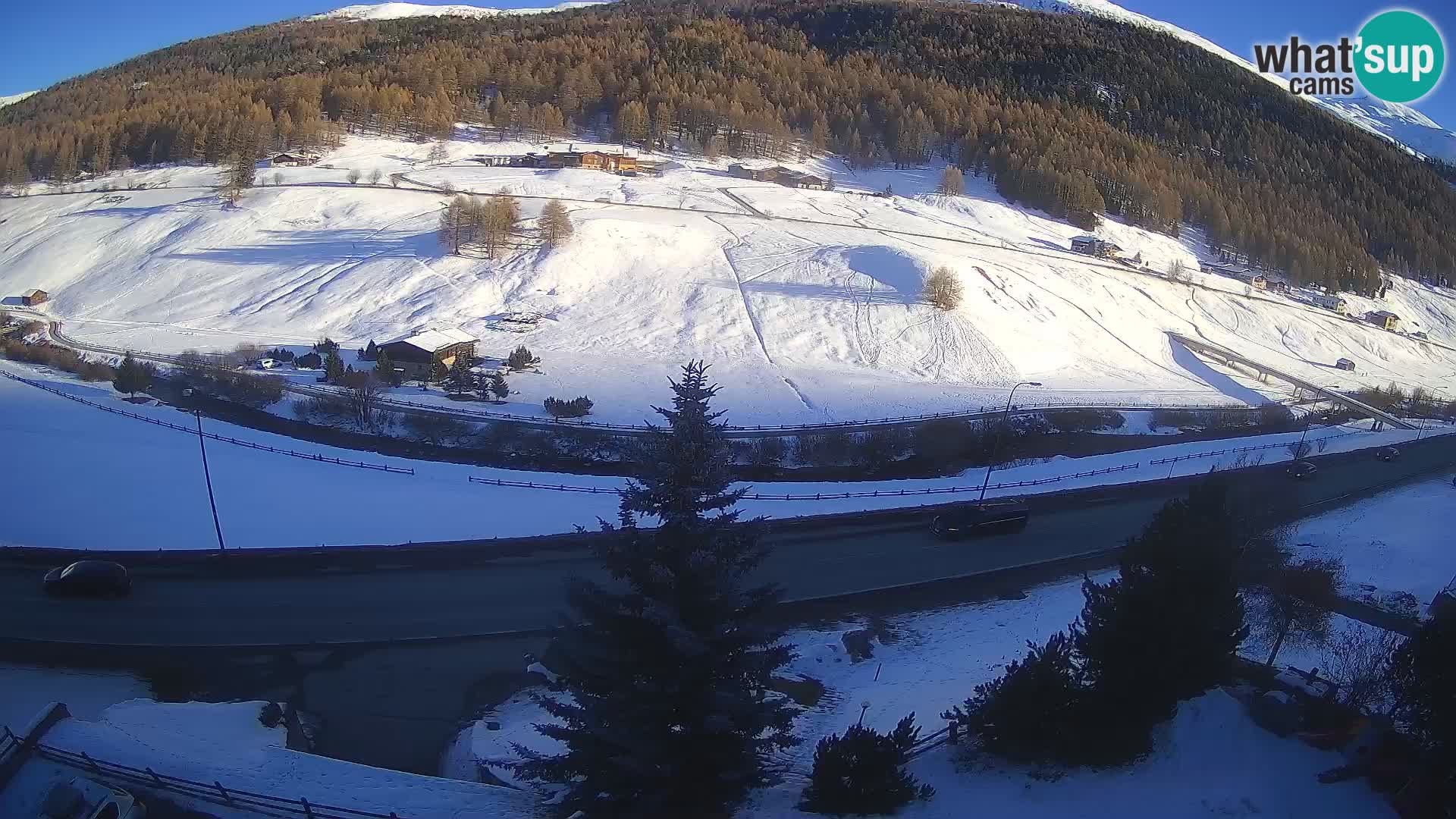 Livigno webcam LIVE Hotel Primula