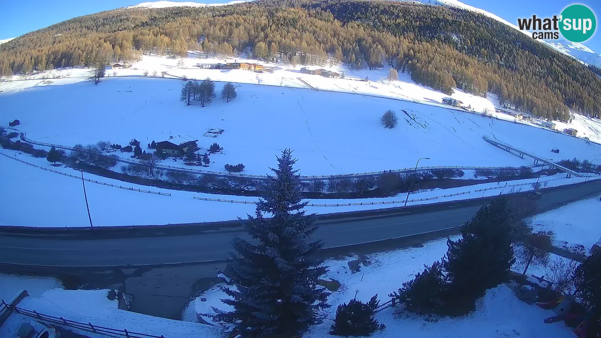 Web Cam Livigno | Hotel Primula
