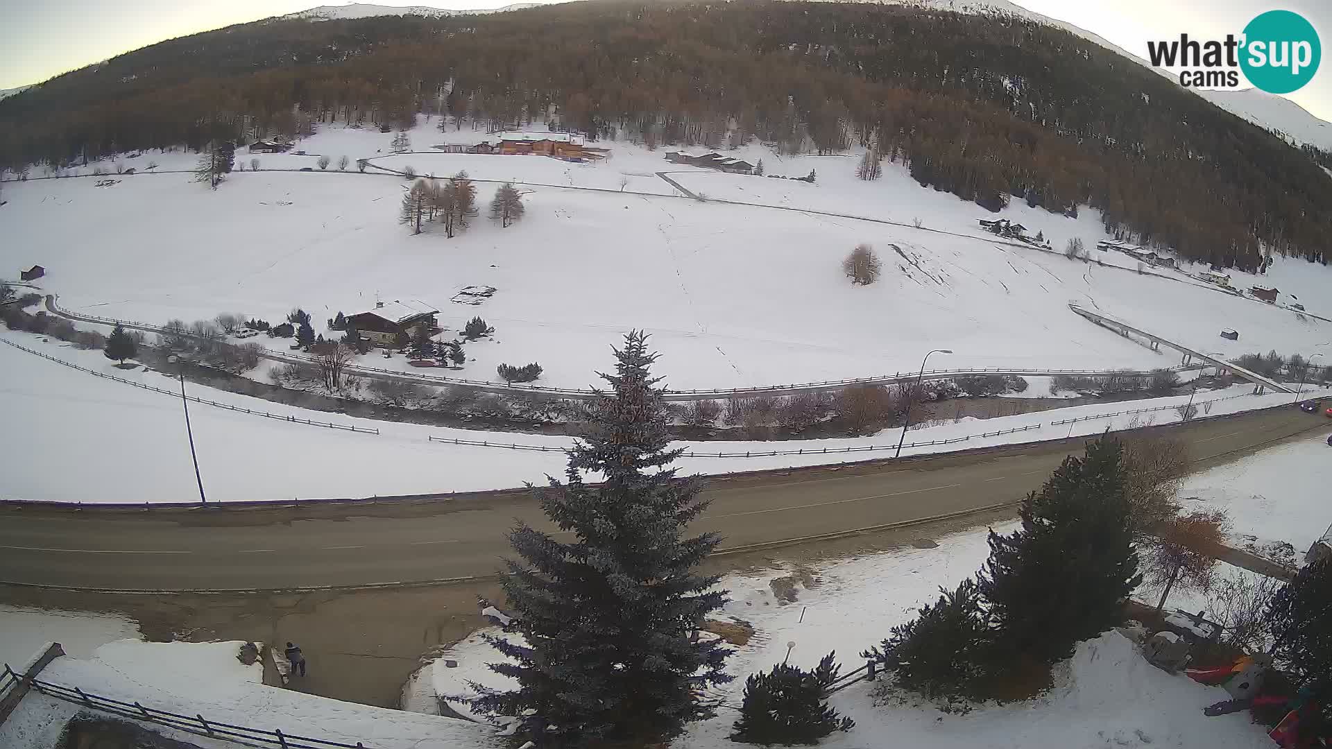 Webcam Livigno Hotel Primula
