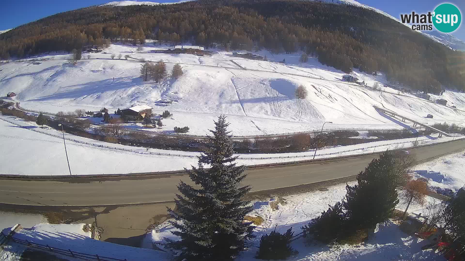 Livigno webcam LIVE Hotel Primula
