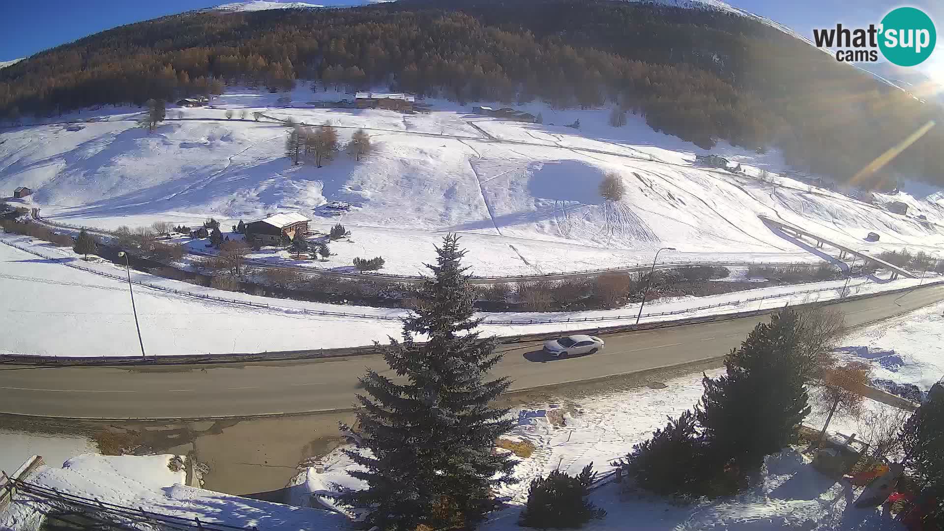 Livigno Cam Hotel Primula | Livigno smučišče